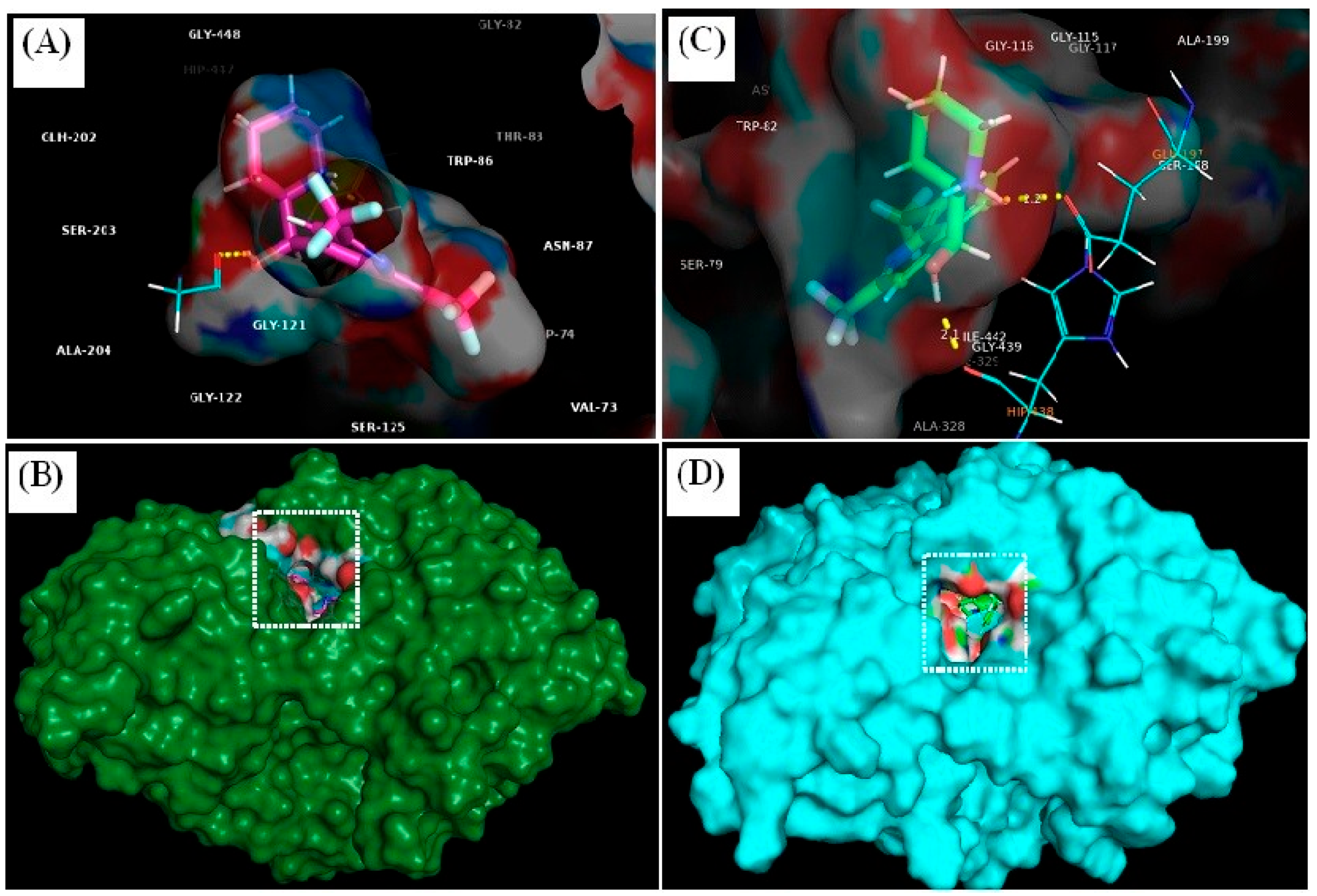 Biomedicines 12 00505 g008