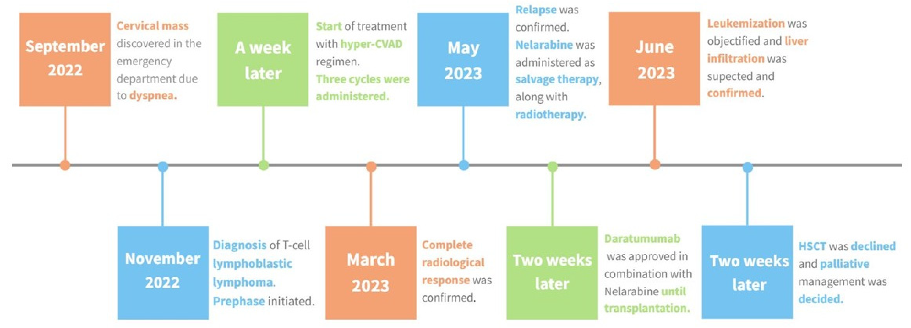 Biomedicines 12 00512 g003