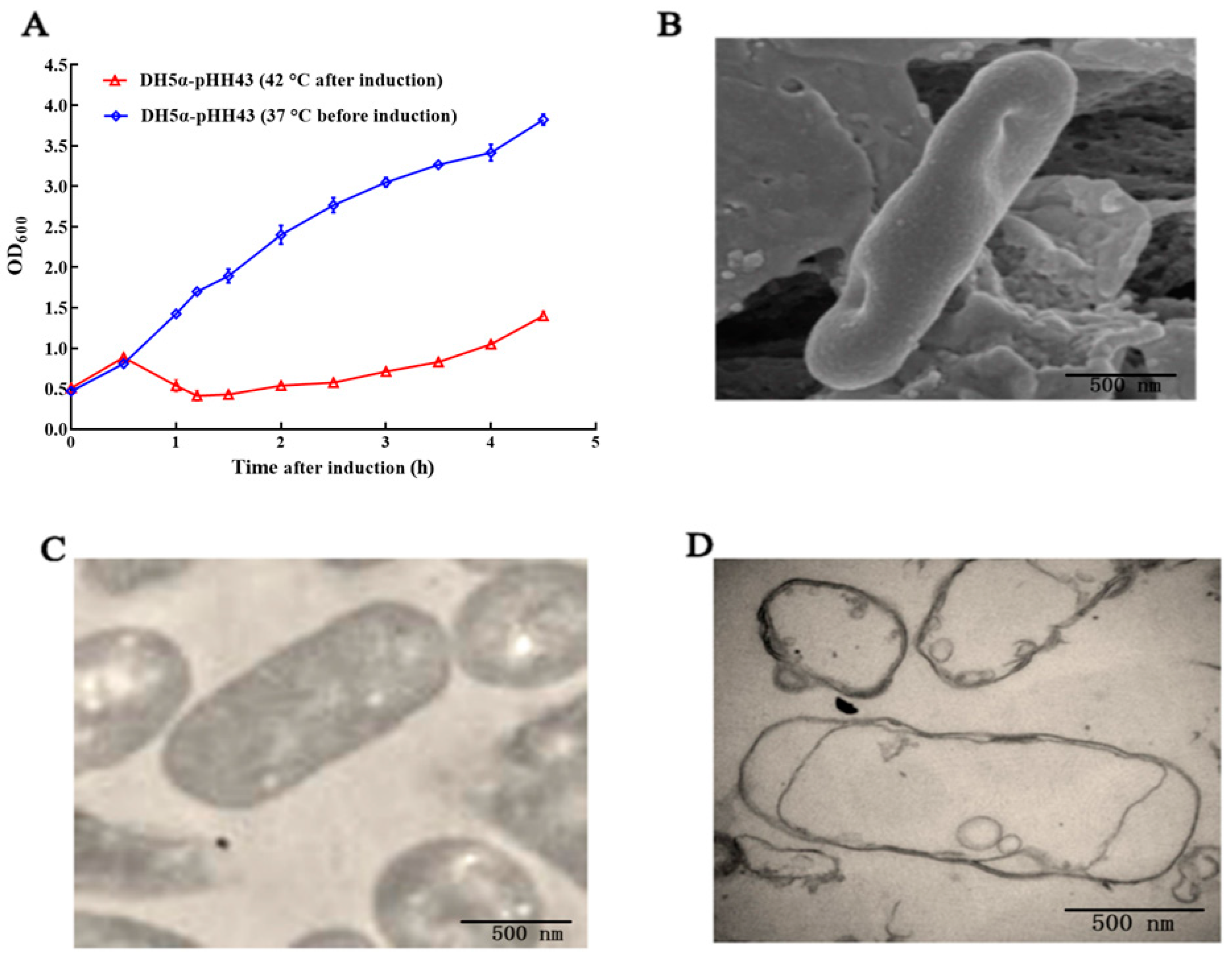 Biomedicines 12 00525 g002