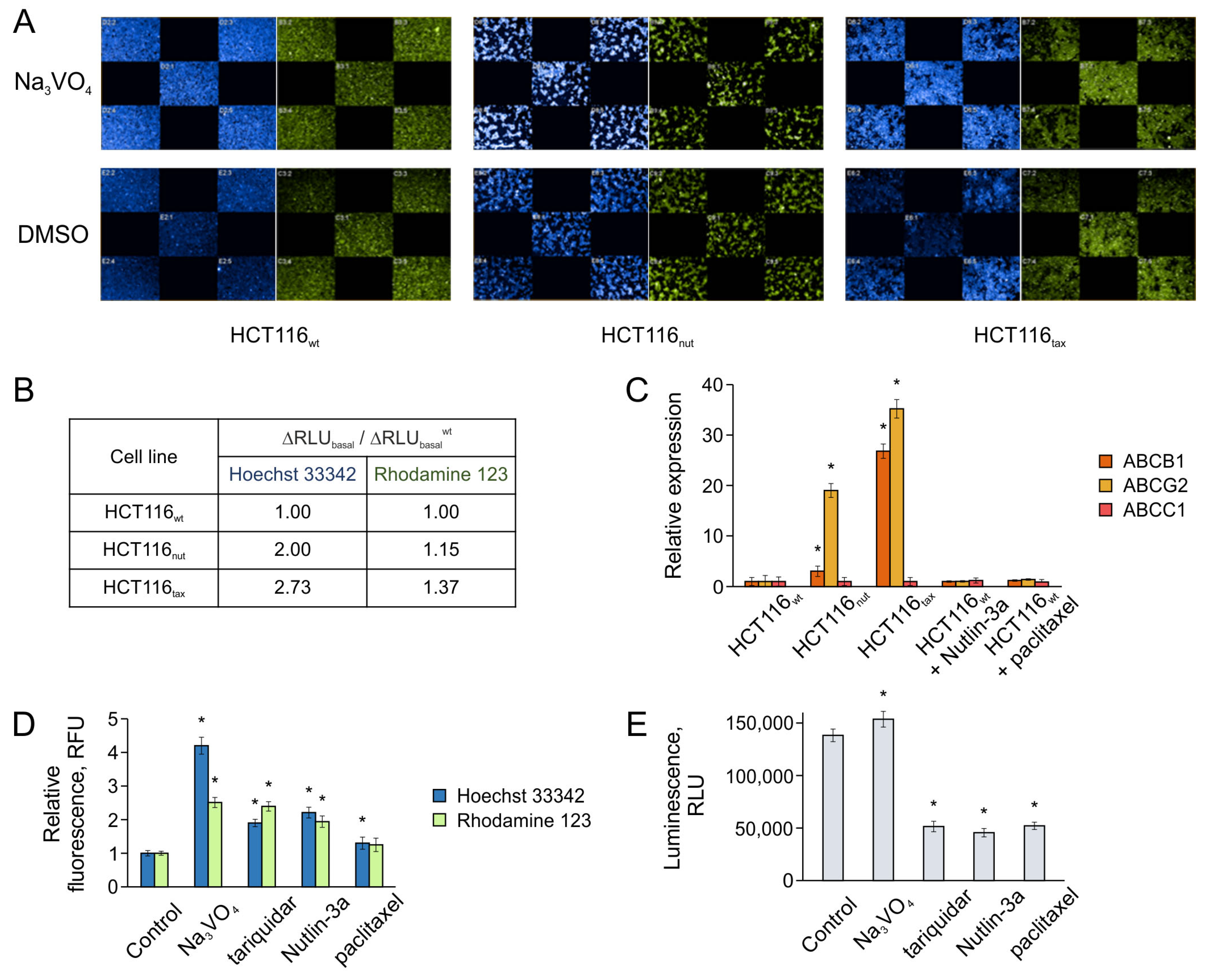 Biomedicines 12 00547 g003