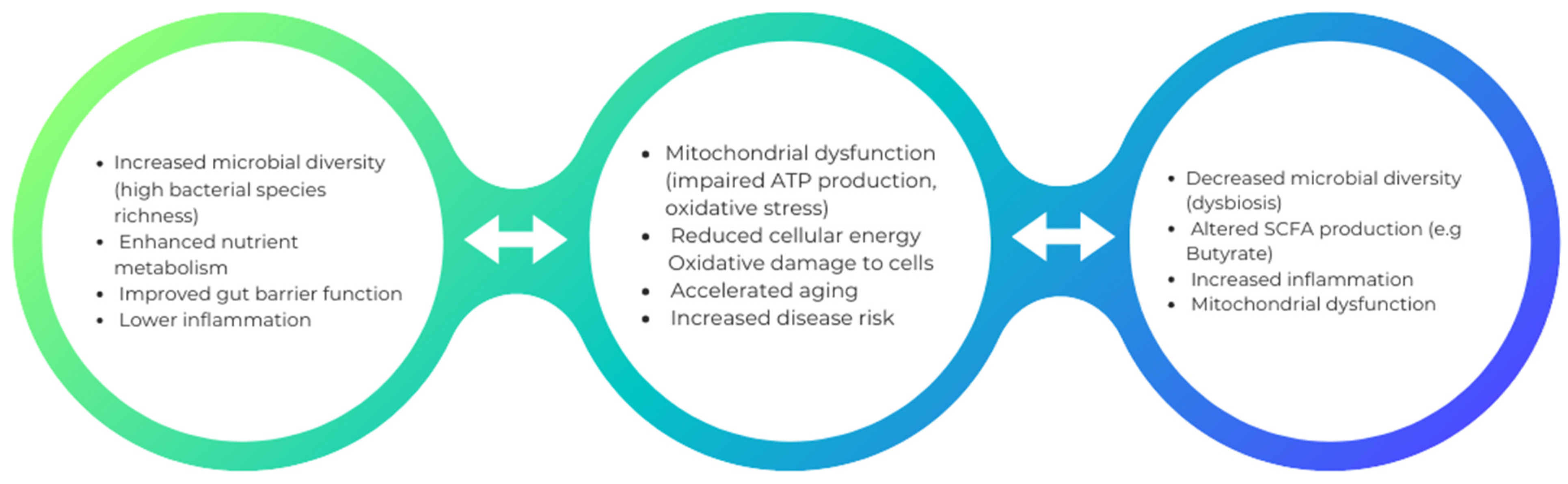Biomedicines 12 00550 g001