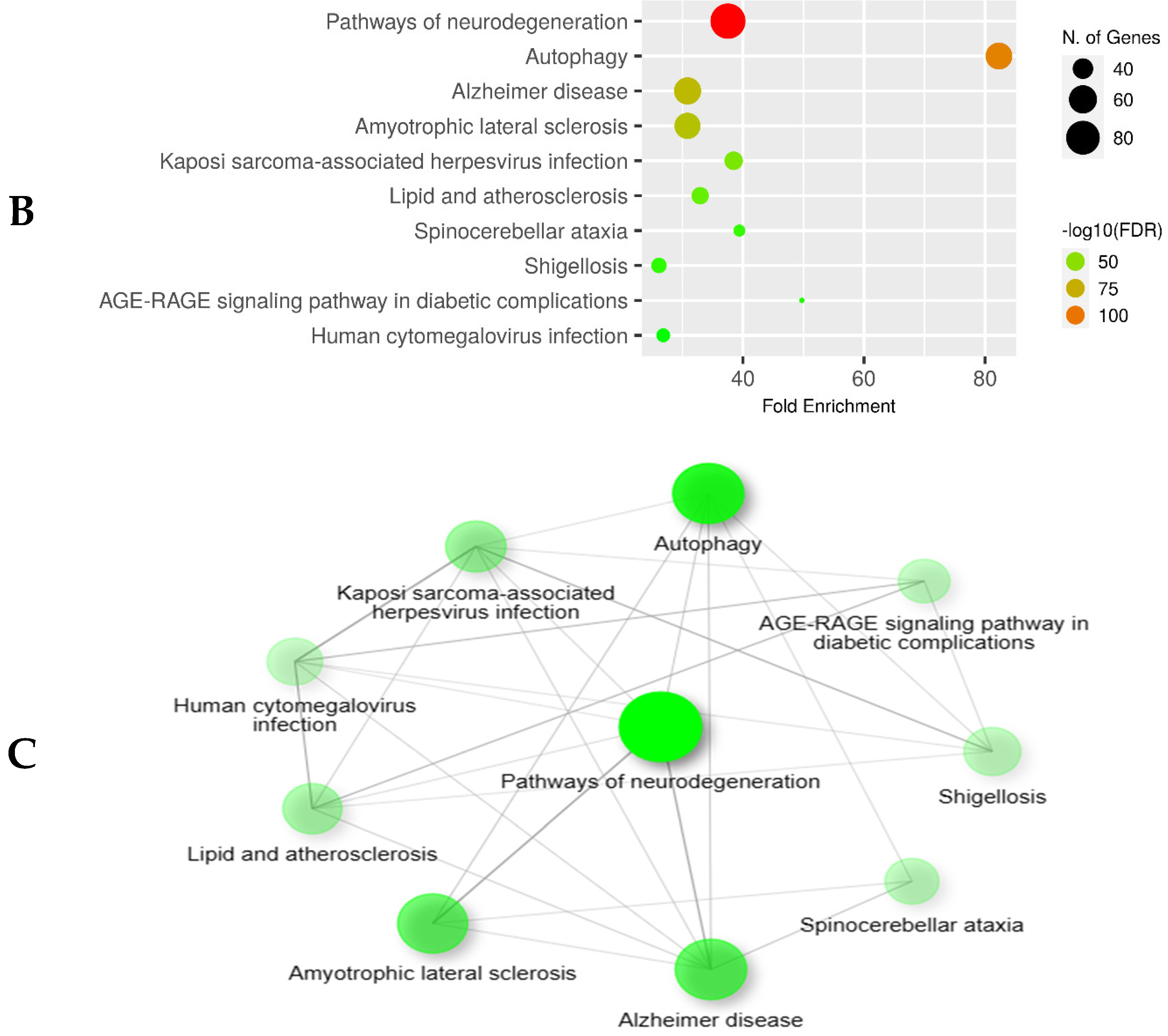 Biomedicines 12 00552 g003b Biomedicines 12 00552 g003b