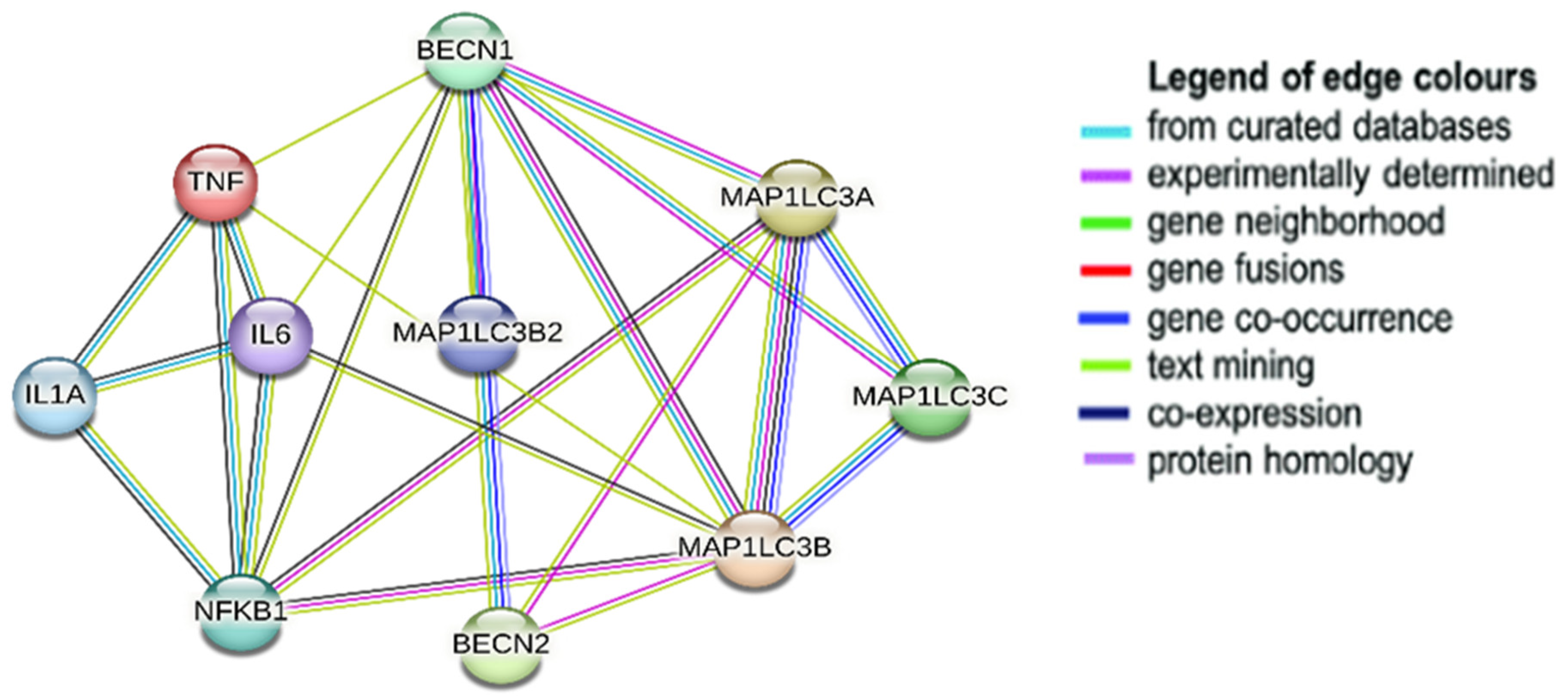 Biomedicines 12 00552 g004 Biomedicines 12 00552 g004