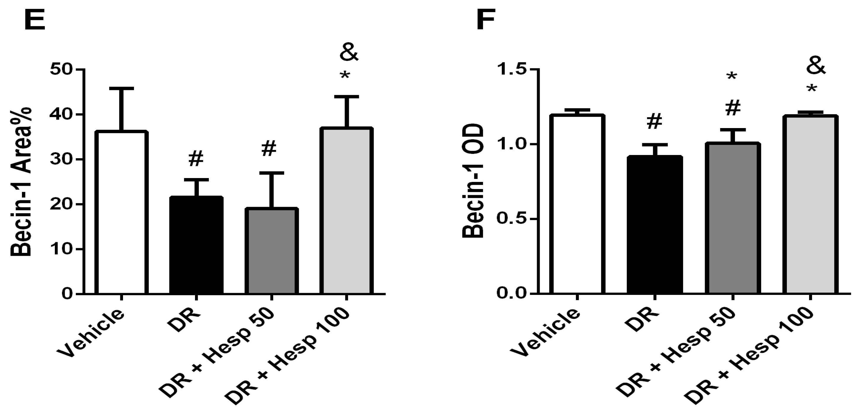 Biomedicines 12 00552 g008b Biomedicines 12 00552 g008b