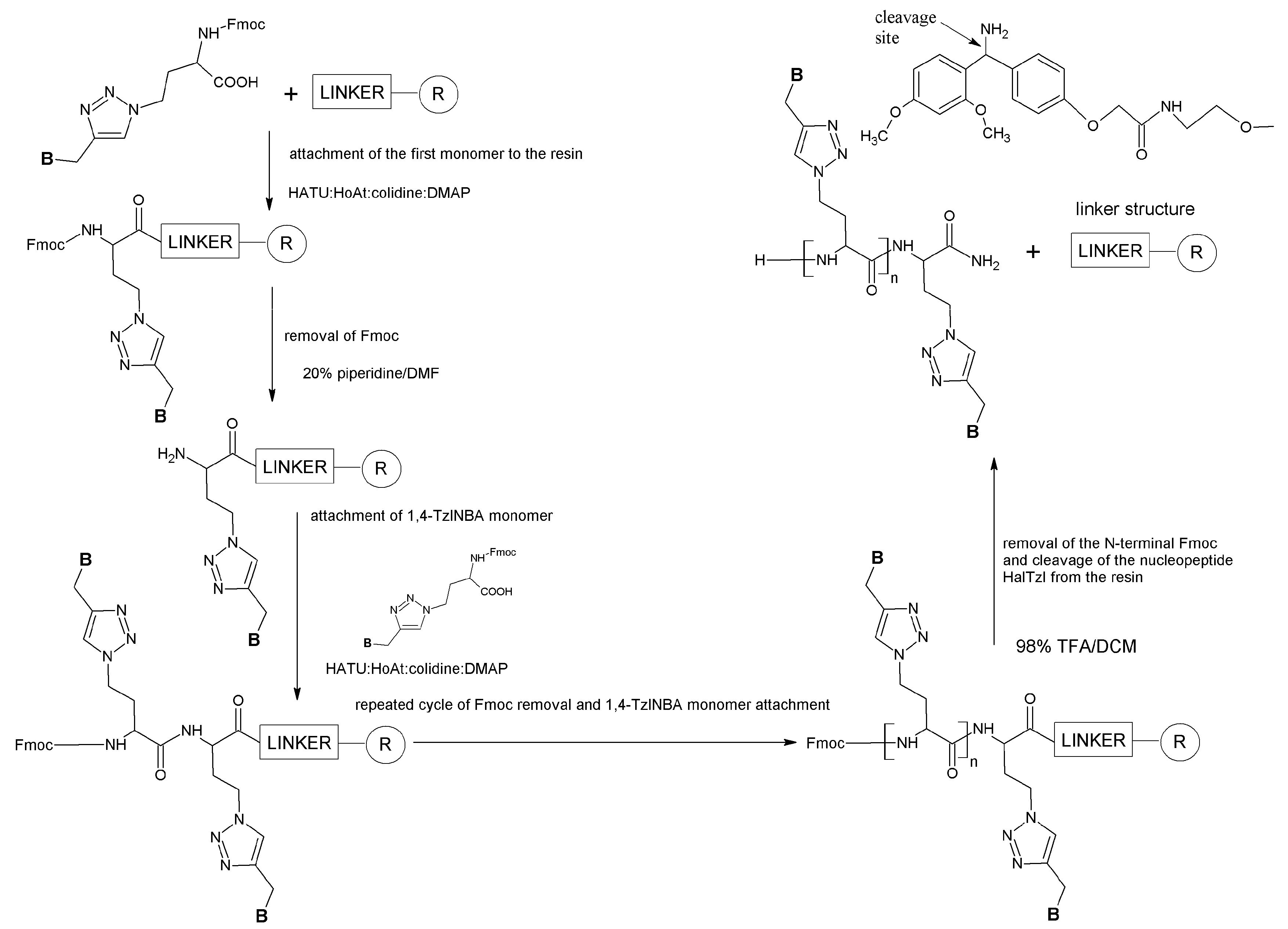 Biomedicines 12 00570 sch004 Biomedicines 12 00570 sch004