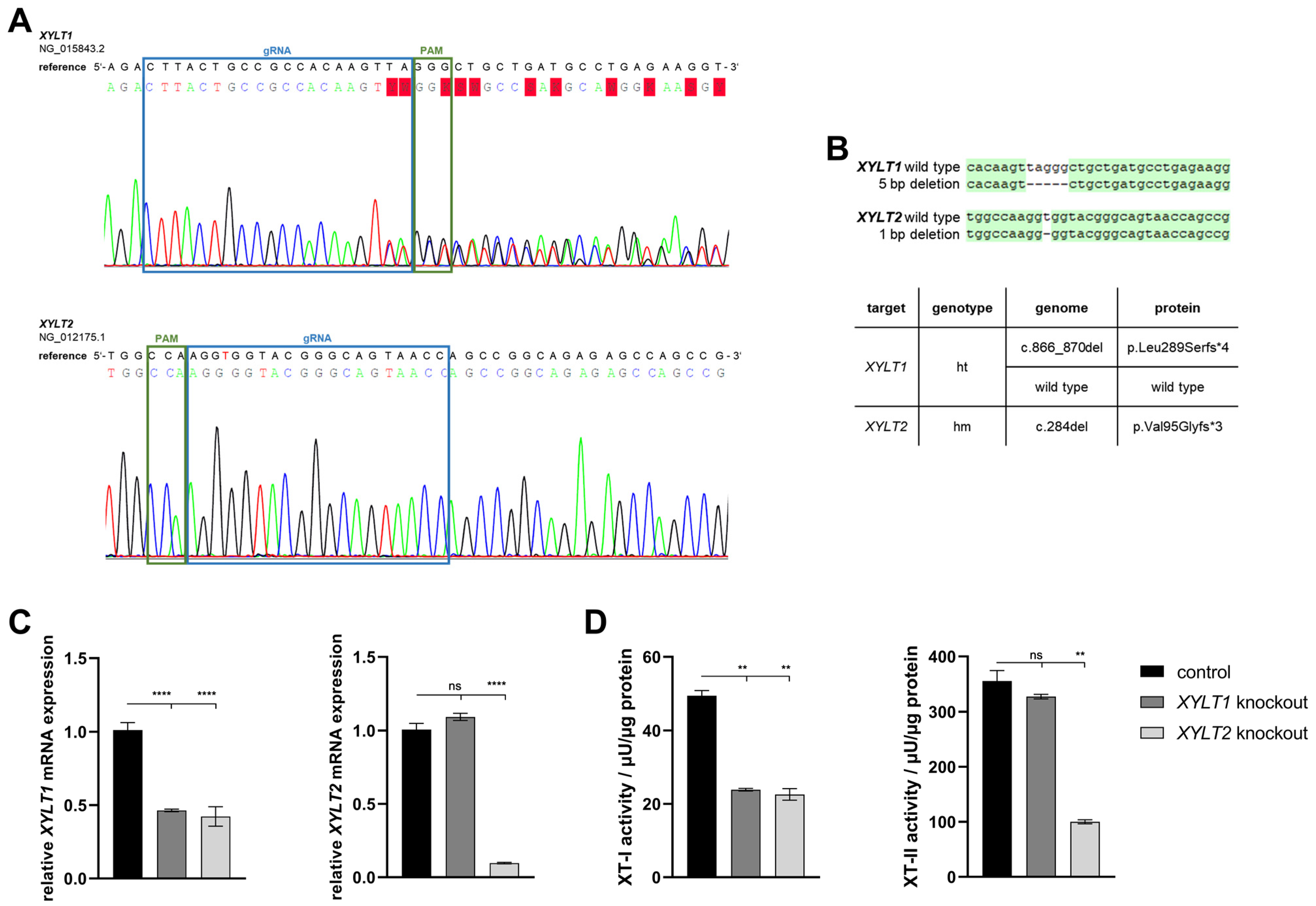 Biomedicines 12 00572 g001 Biomedicines 12 00572 g001
