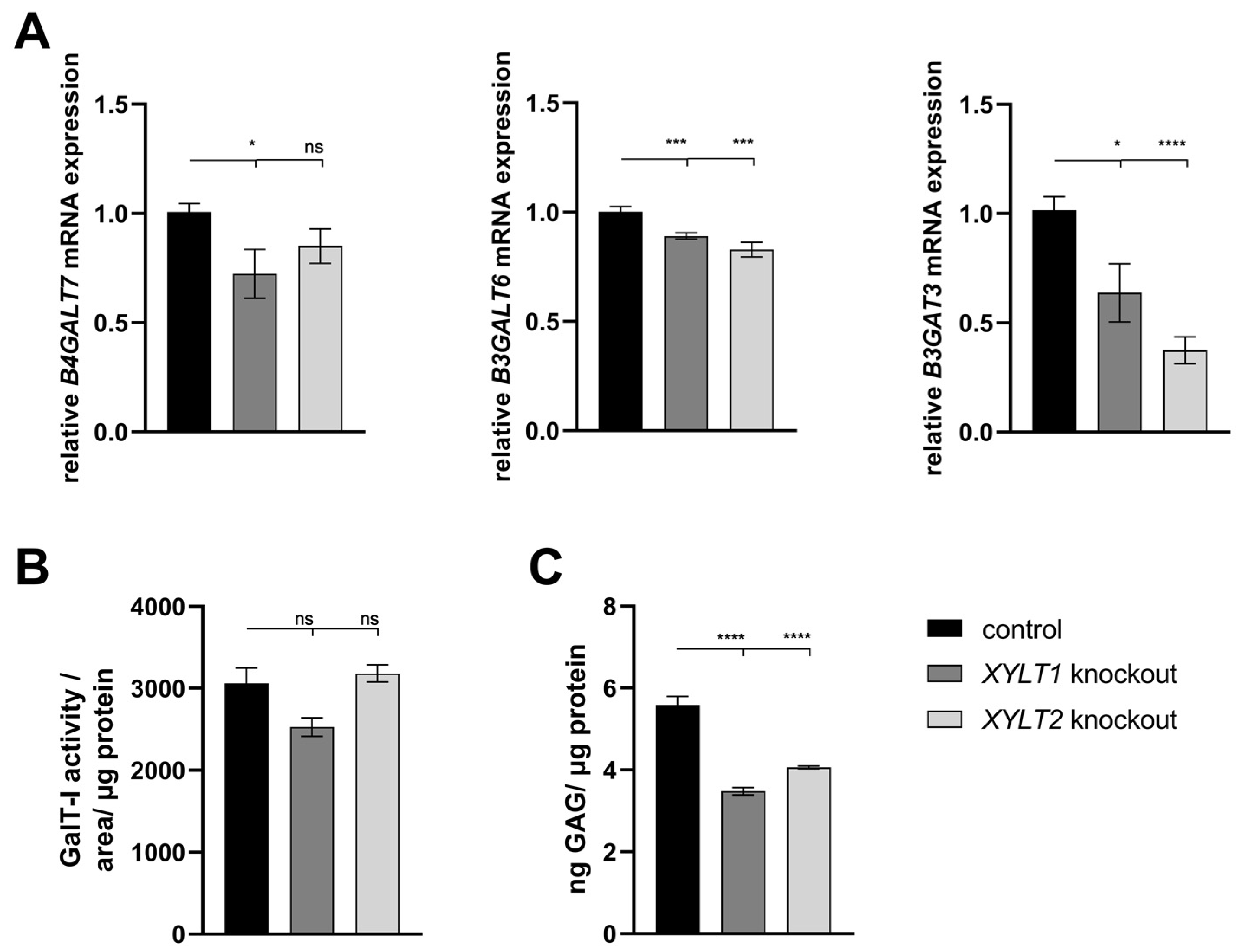 Biomedicines 12 00572 g002 Biomedicines 12 00572 g002