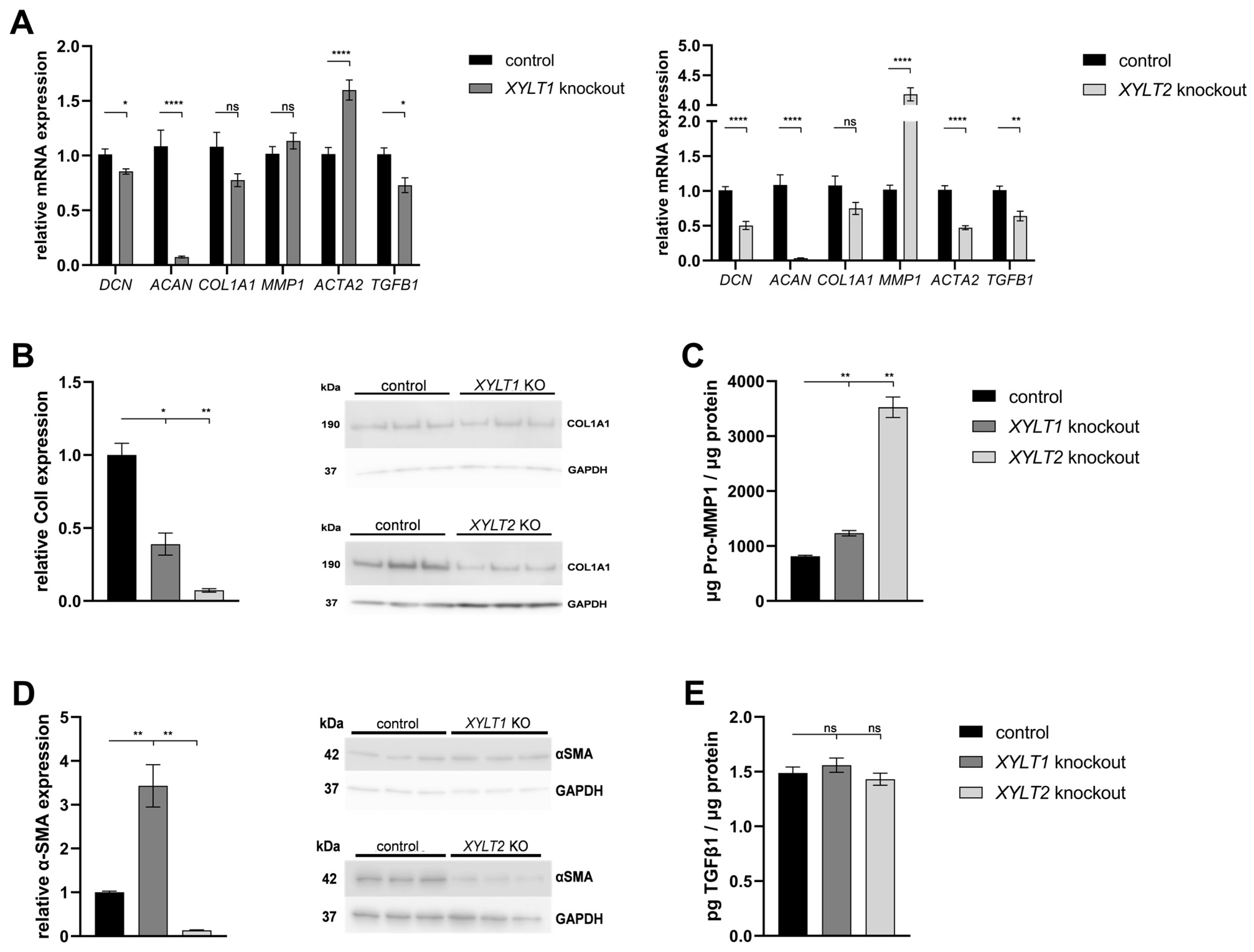 Biomedicines 12 00572 g003 Biomedicines 12 00572 g003