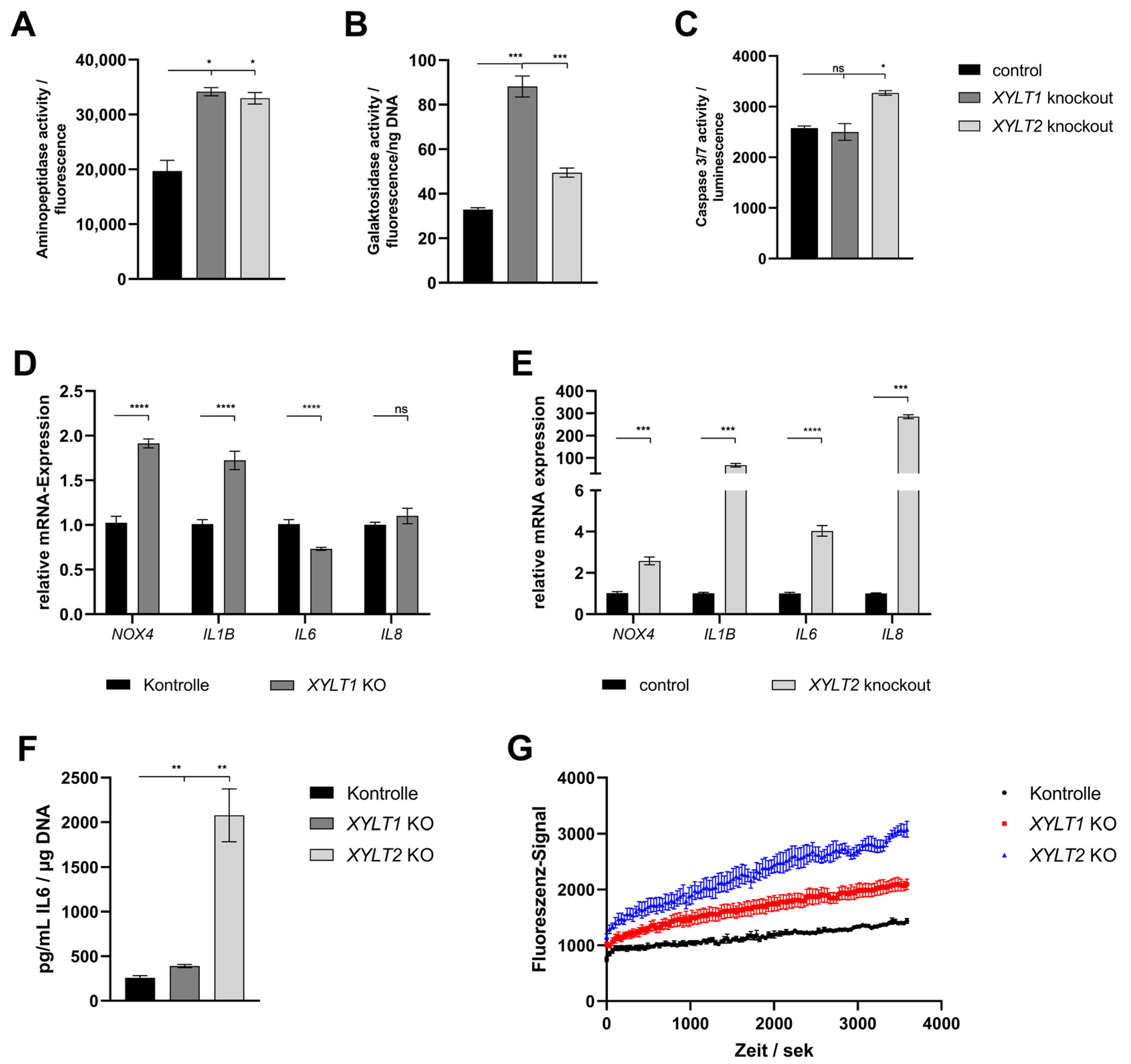Biomedicines 12 00572 g004 Biomedicines 12 00572 g004