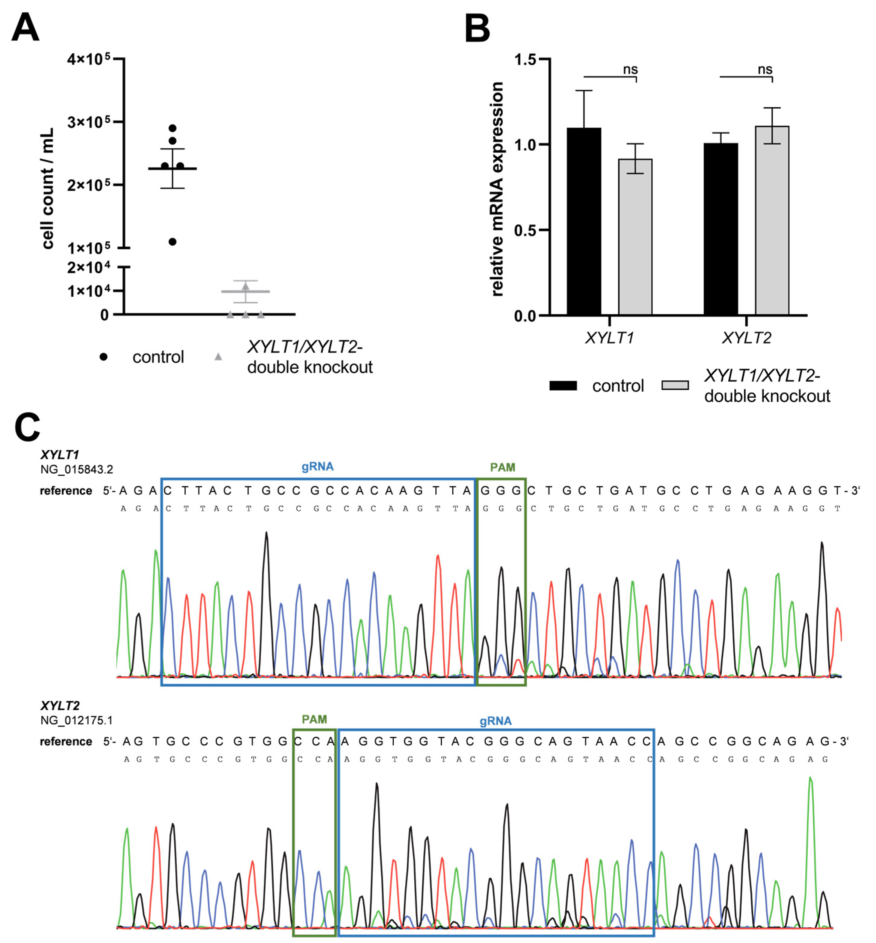 Biomedicines 12 00572 g005 Biomedicines 12 00572 g005