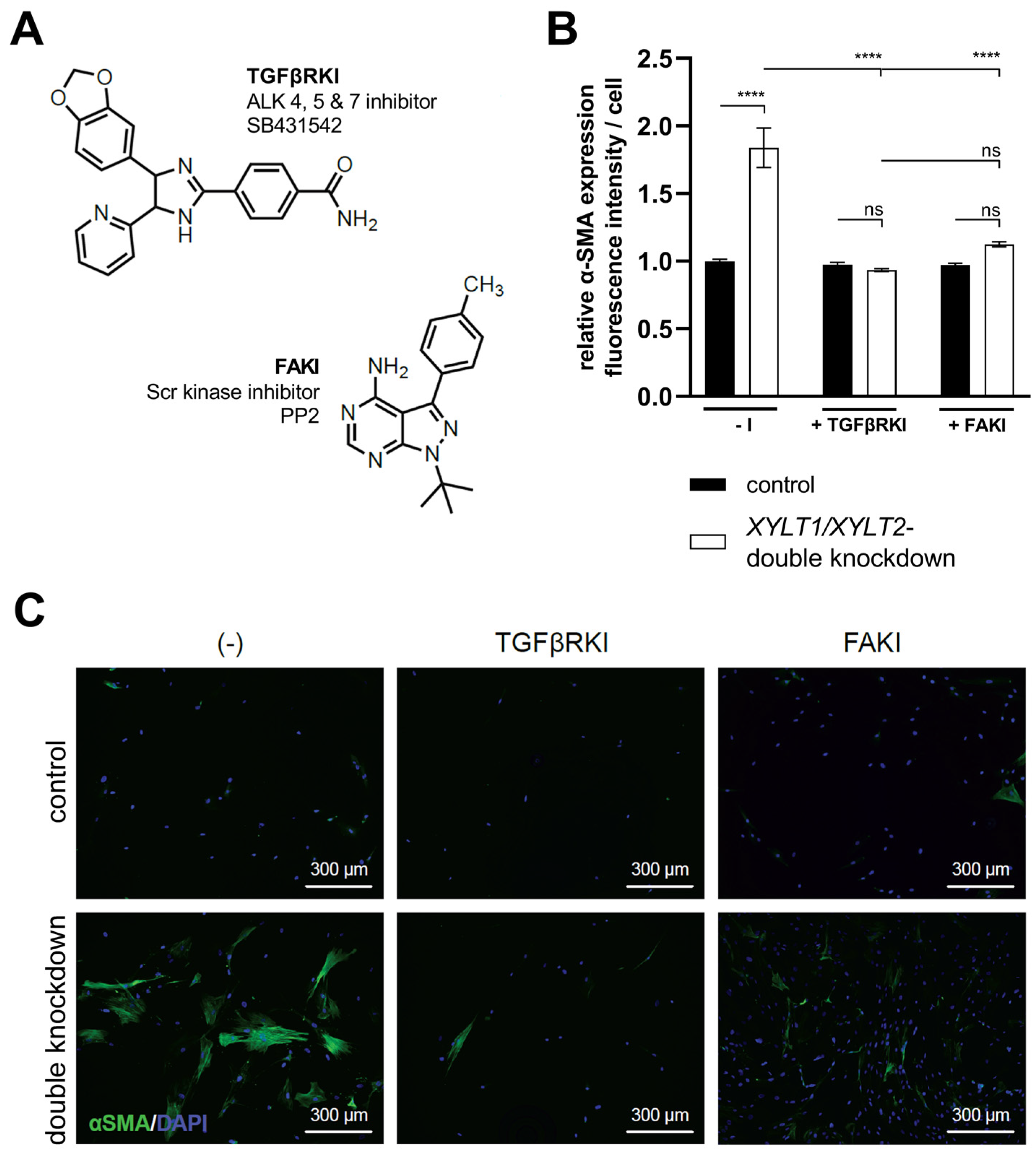 Biomedicines 12 00572 g008 Biomedicines 12 00572 g008