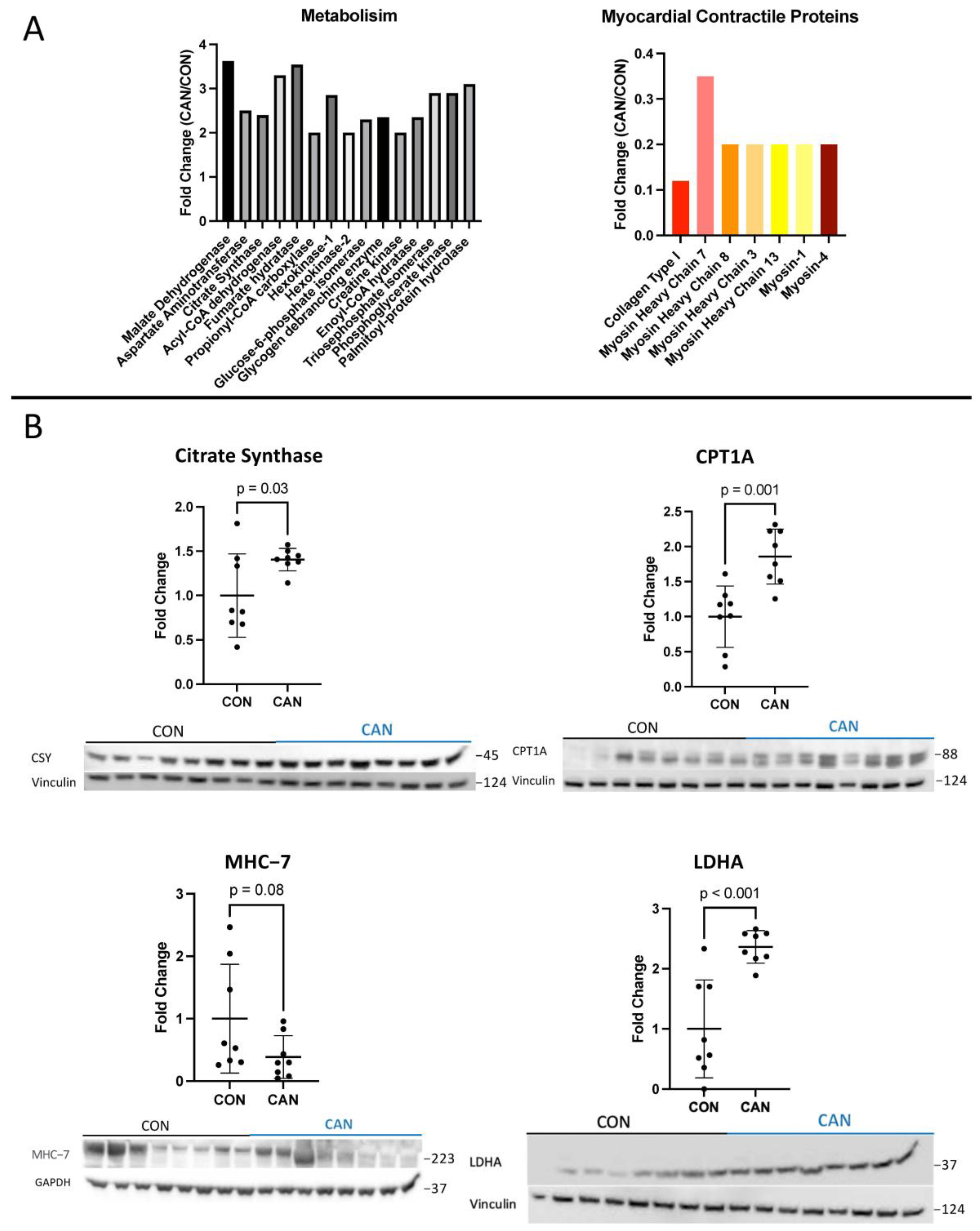 Biomedicines 12 00588 g005