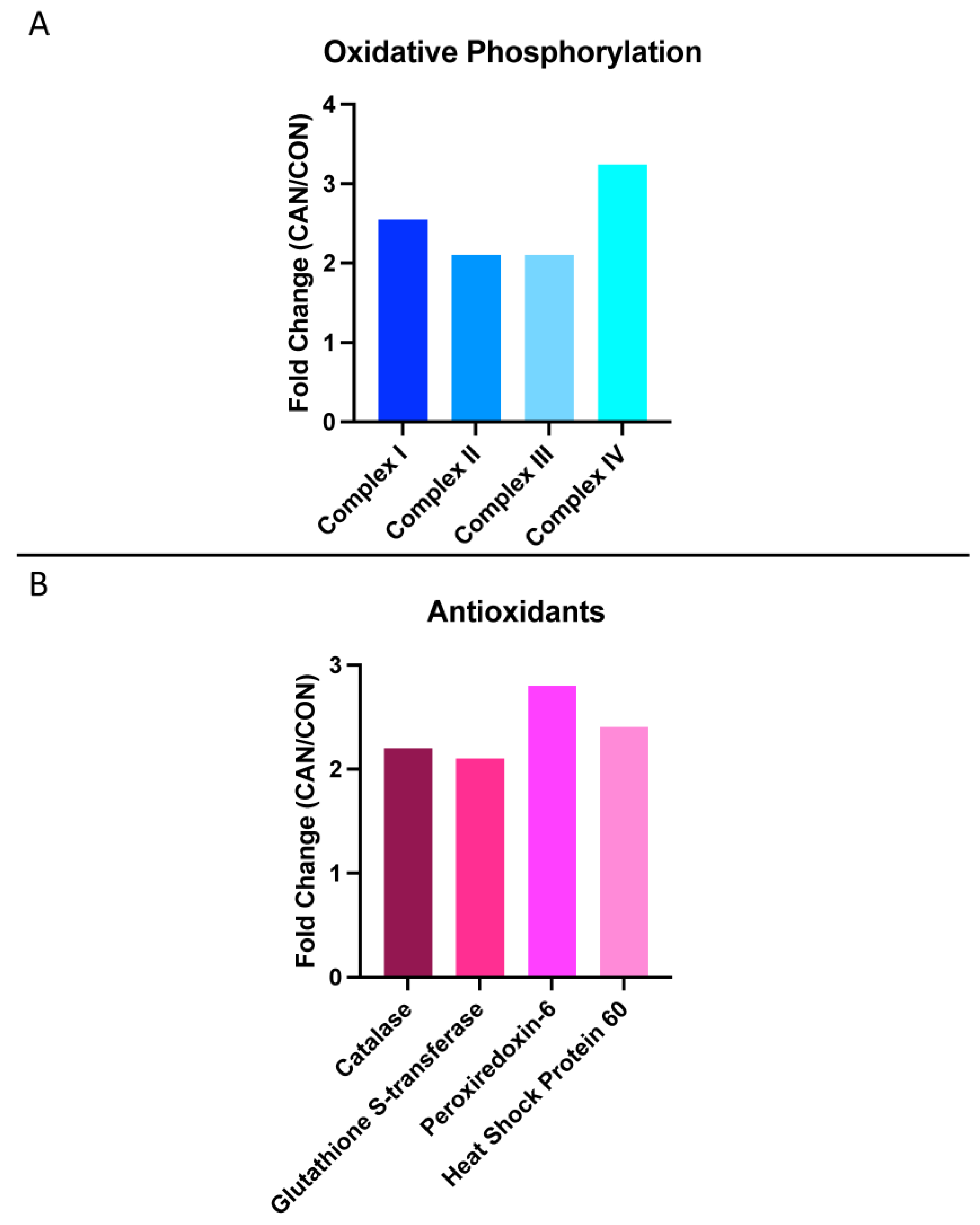 Biomedicines 12 00588 g006