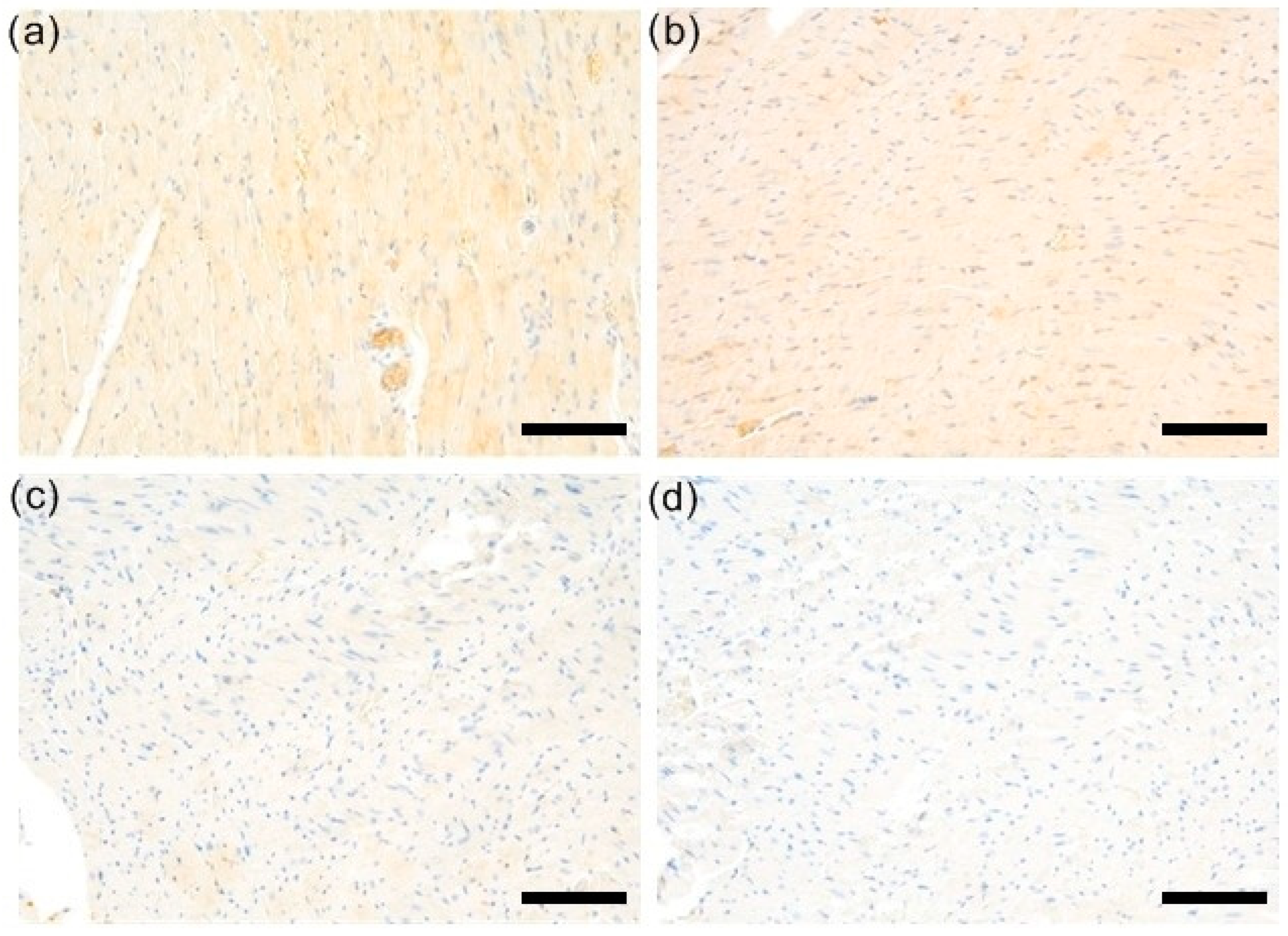 Biomedicines 12 00596 g002