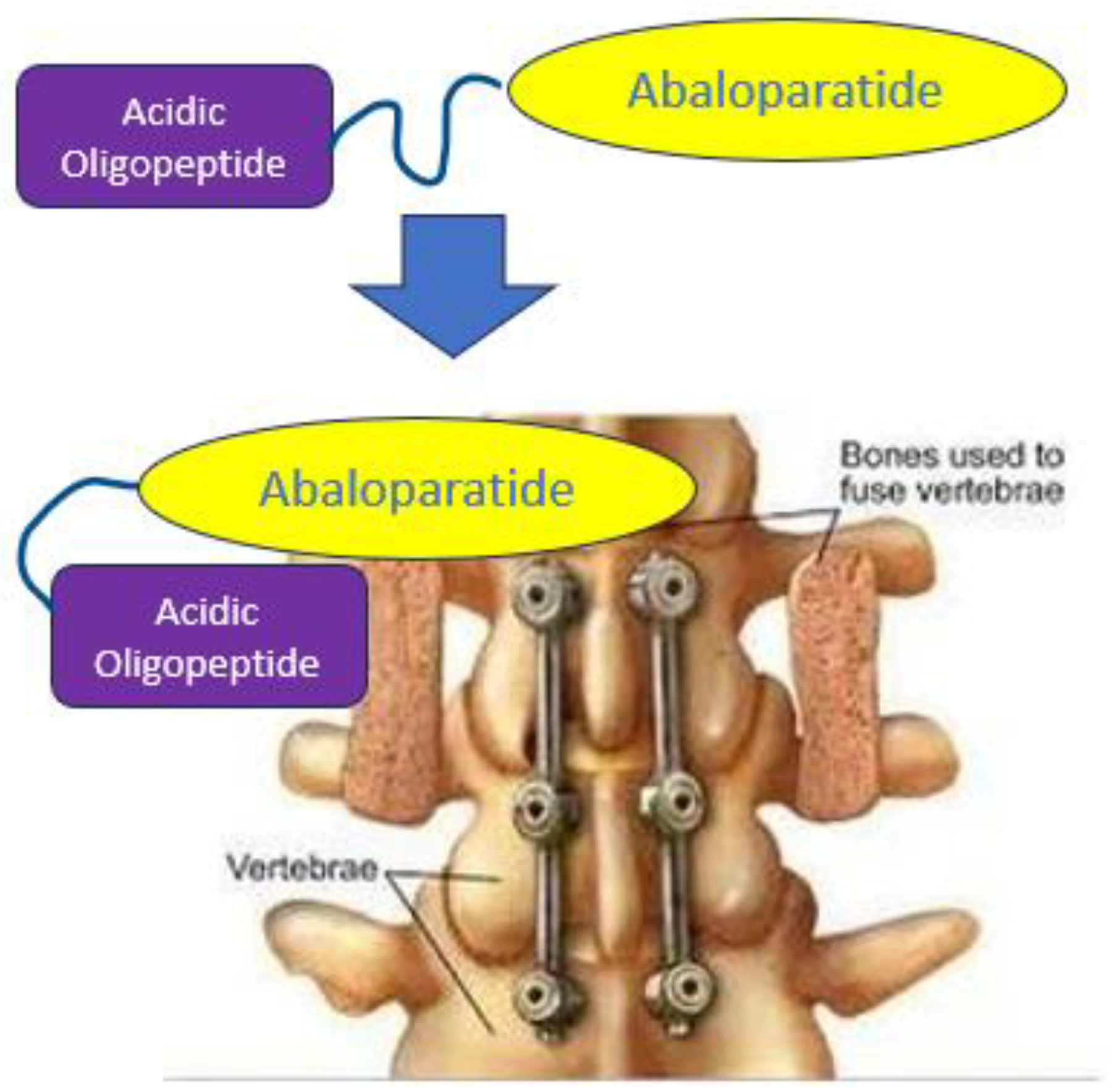 Biomedicines 12 00612 g001