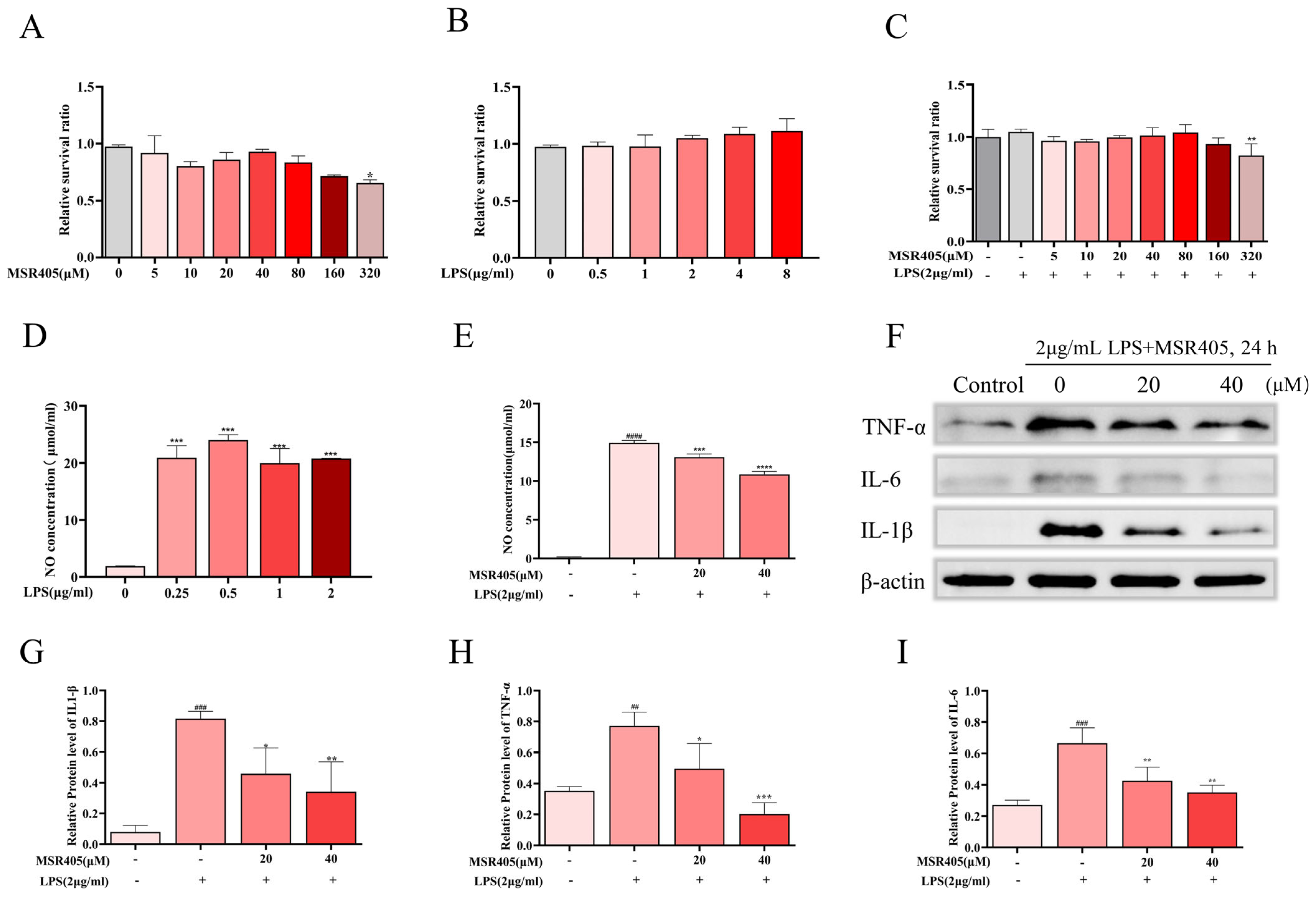 Biomedicines 12 00614 g004