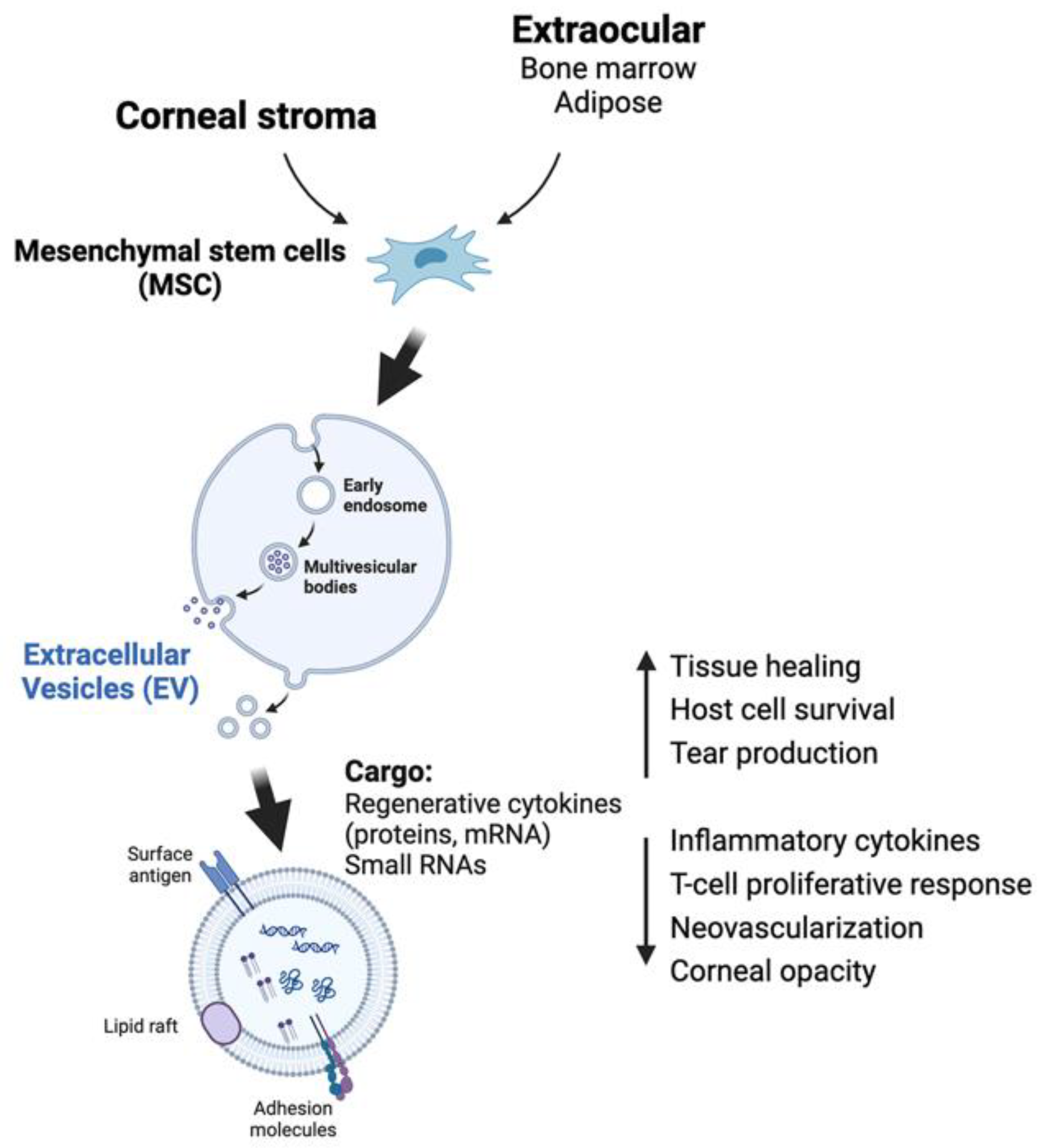 Biomedicines 12 00649 g005