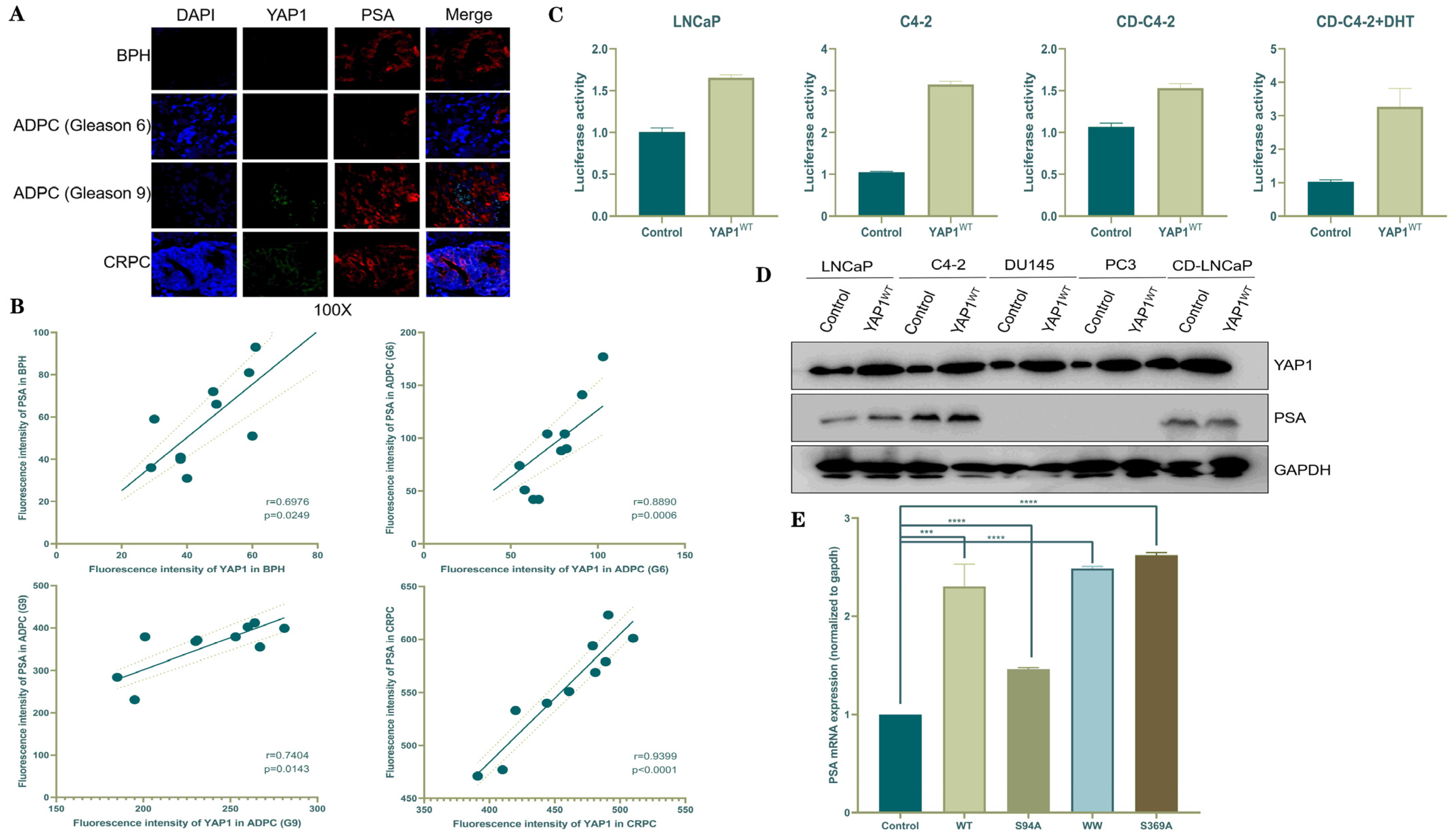 Biomedicines 12 00661 g001