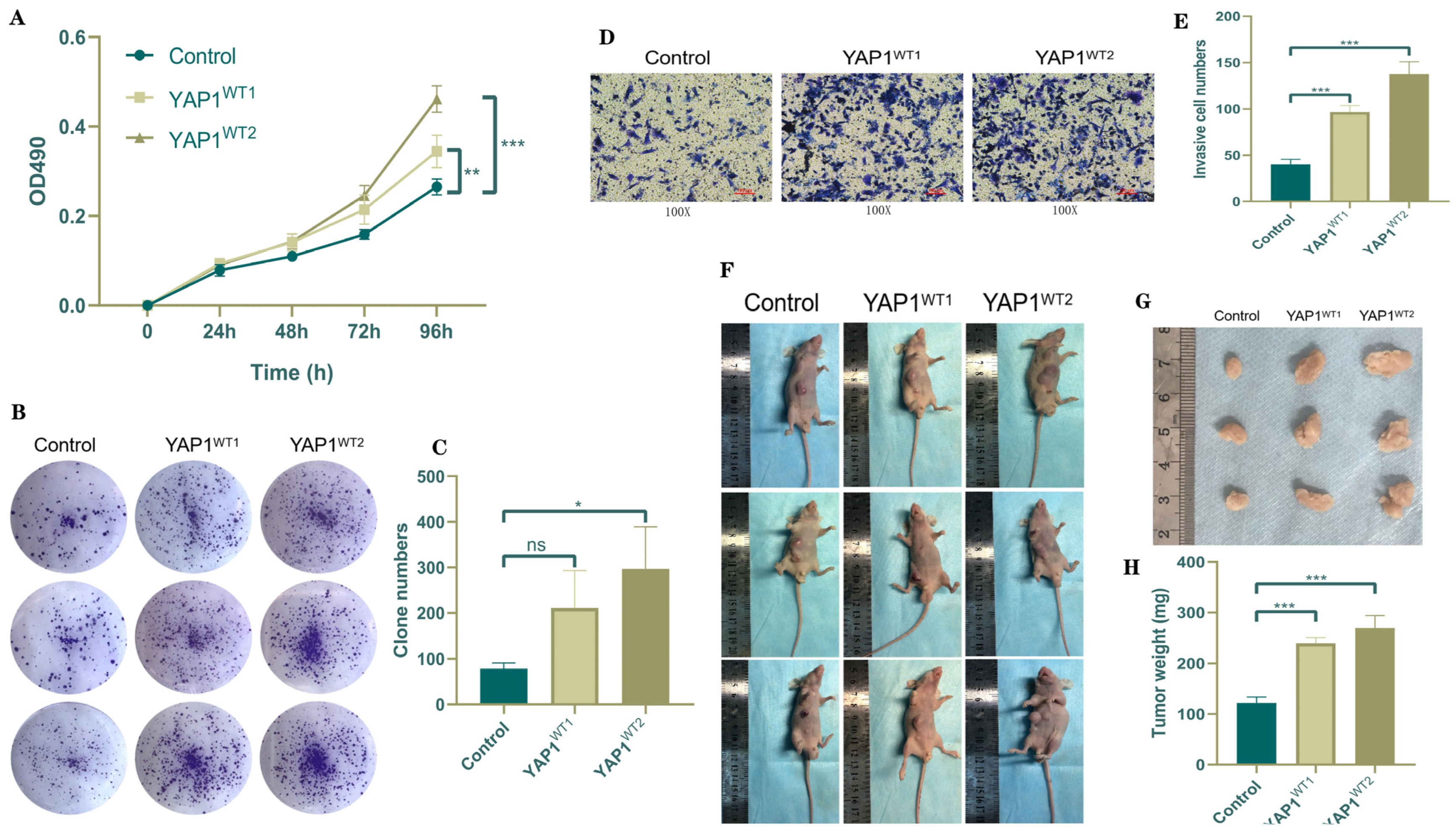 Biomedicines 12 00661 g002