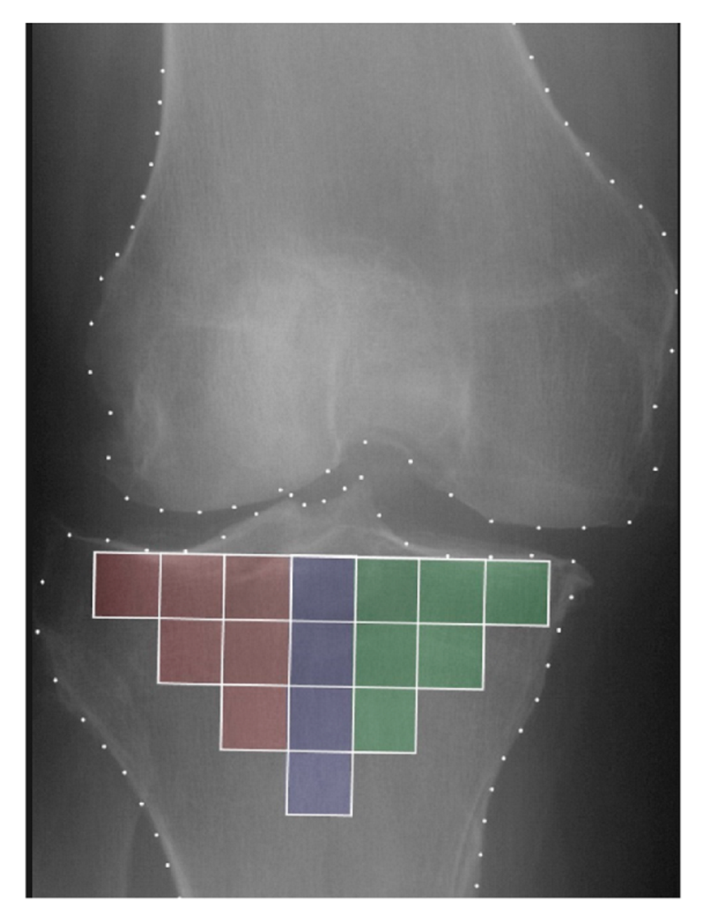 Biomedicines 12 00666 g001 Biomedicines 12 00666 g001