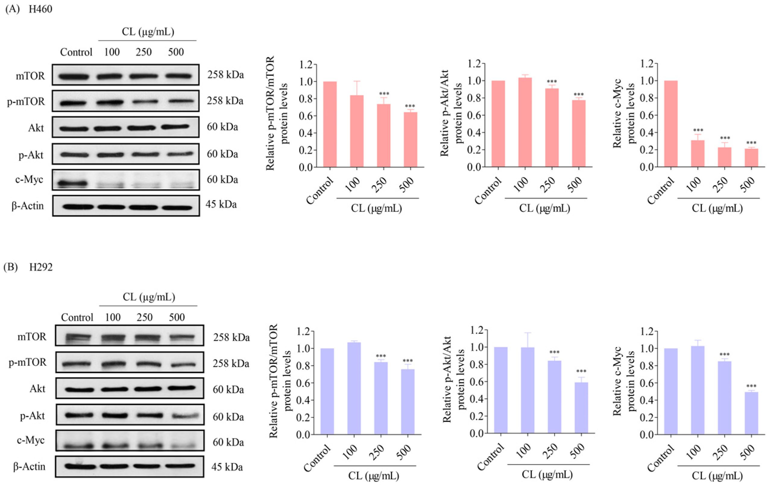 Biomedicines | Free Full-Text | Shrimp Lipids Inhibit Migration ...