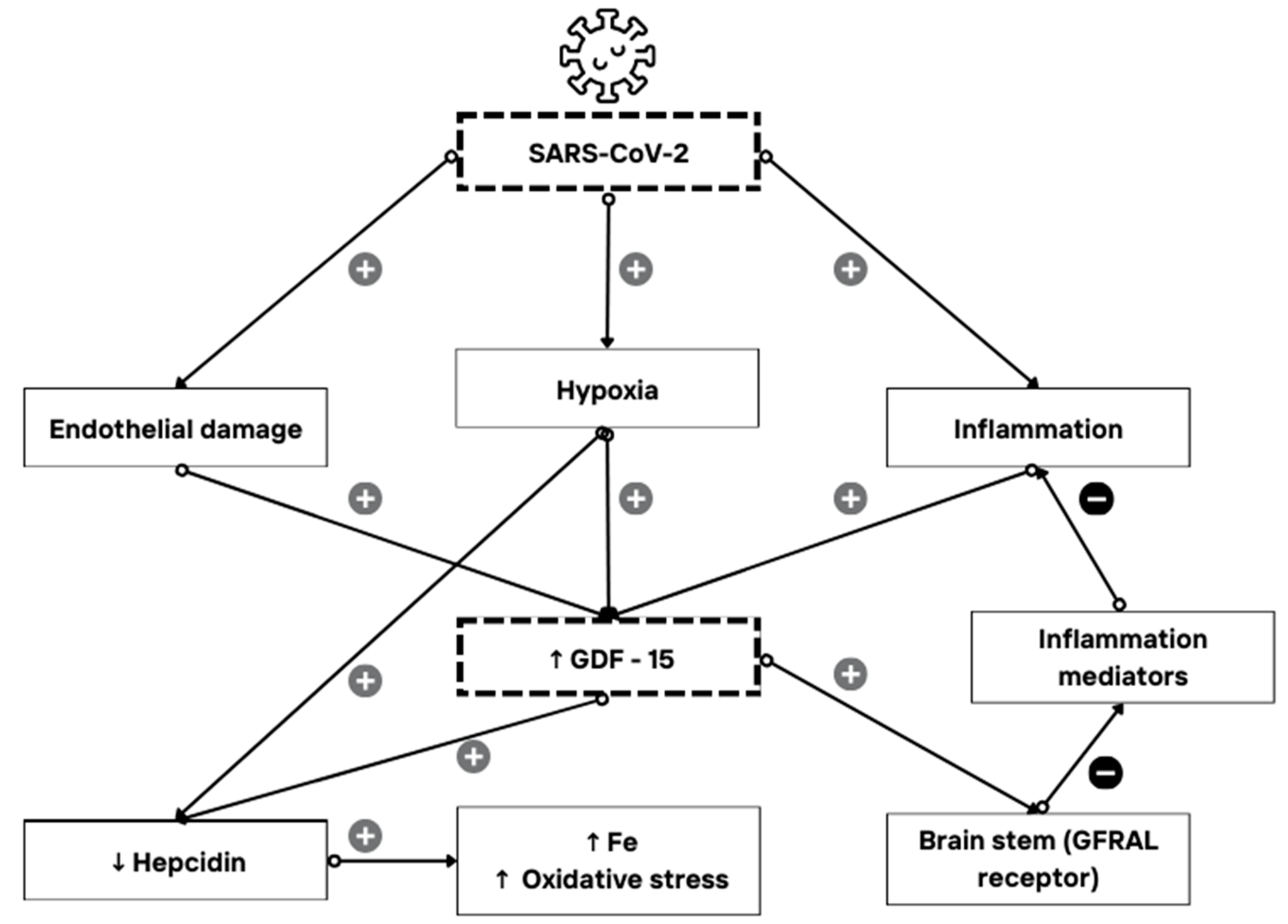 Biomedicines 12 00757 g005