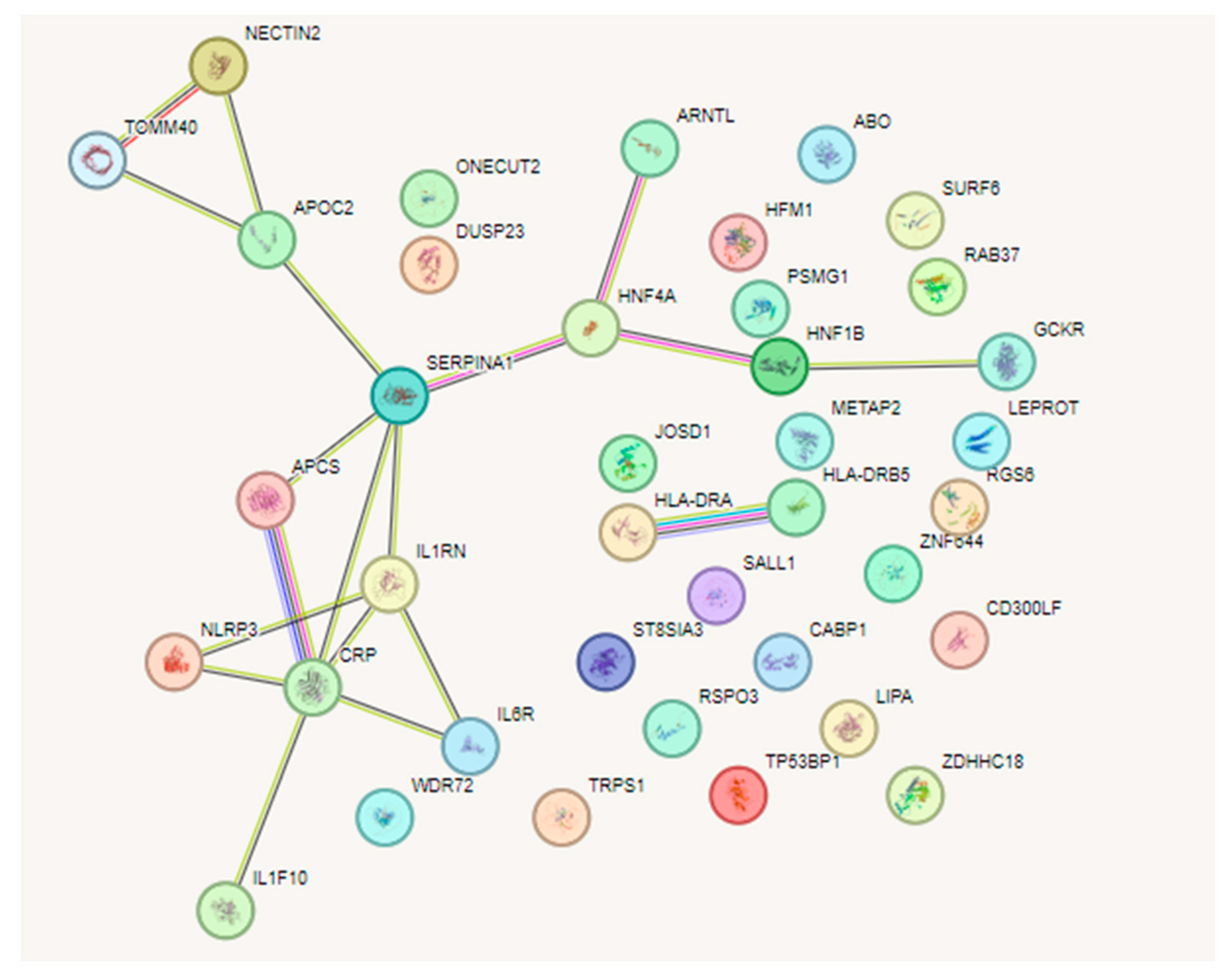 Biomedicines 12 00807 g004 Biomedicines 12 00807 g004