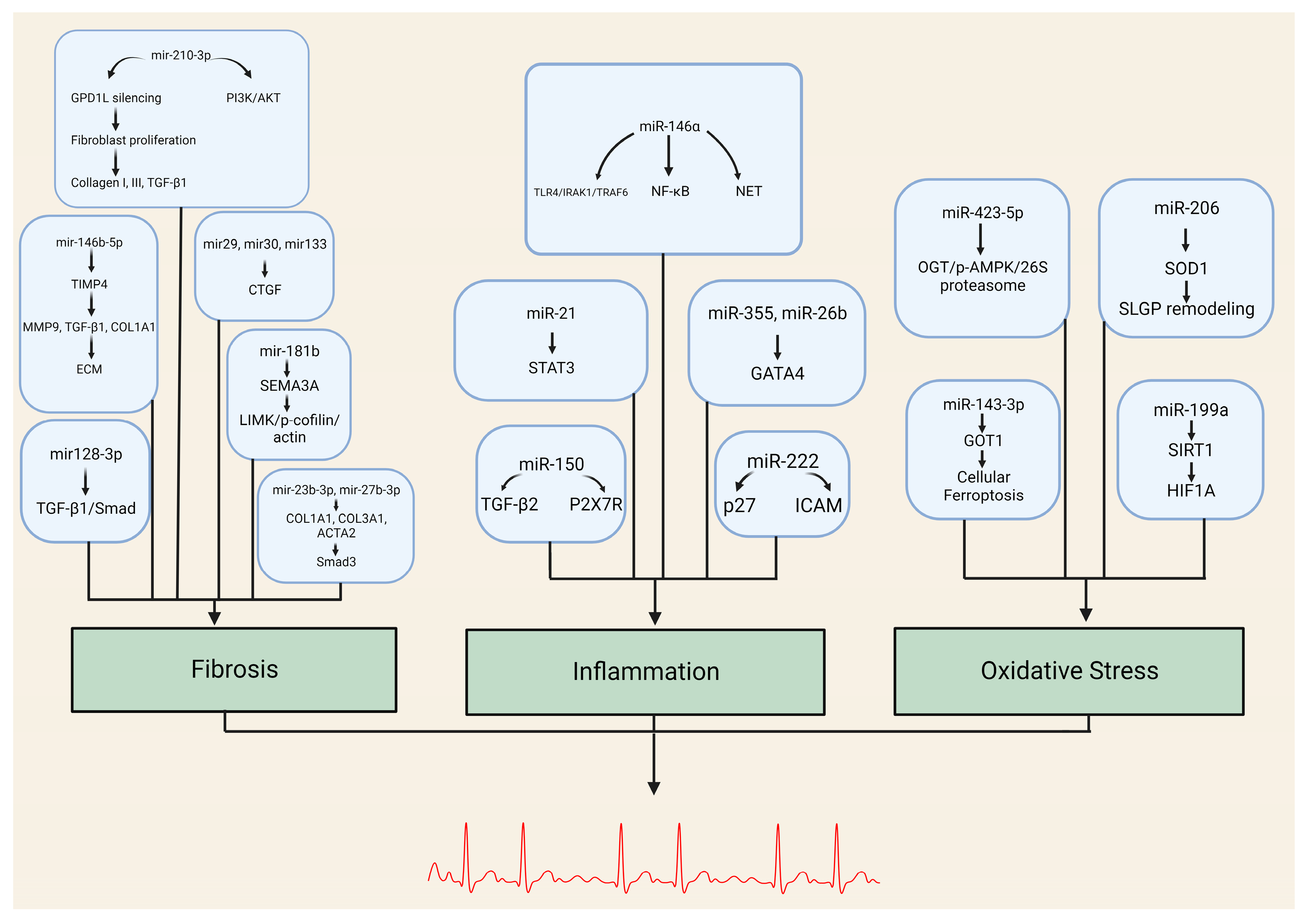 Biomedicines 12 00811 g001