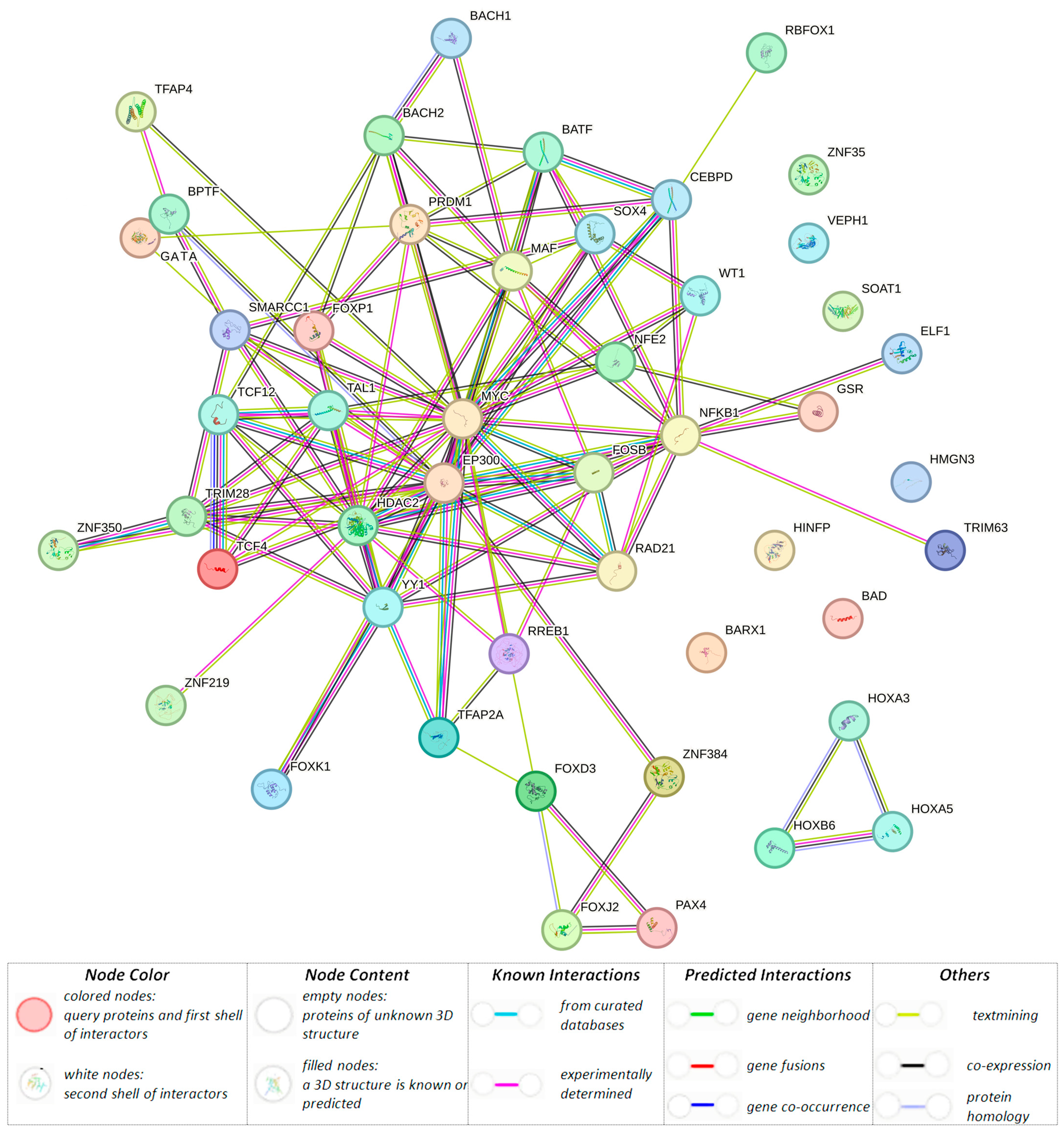 Biomedicines 12 00818 g001 Biomedicines 12 00818 g001