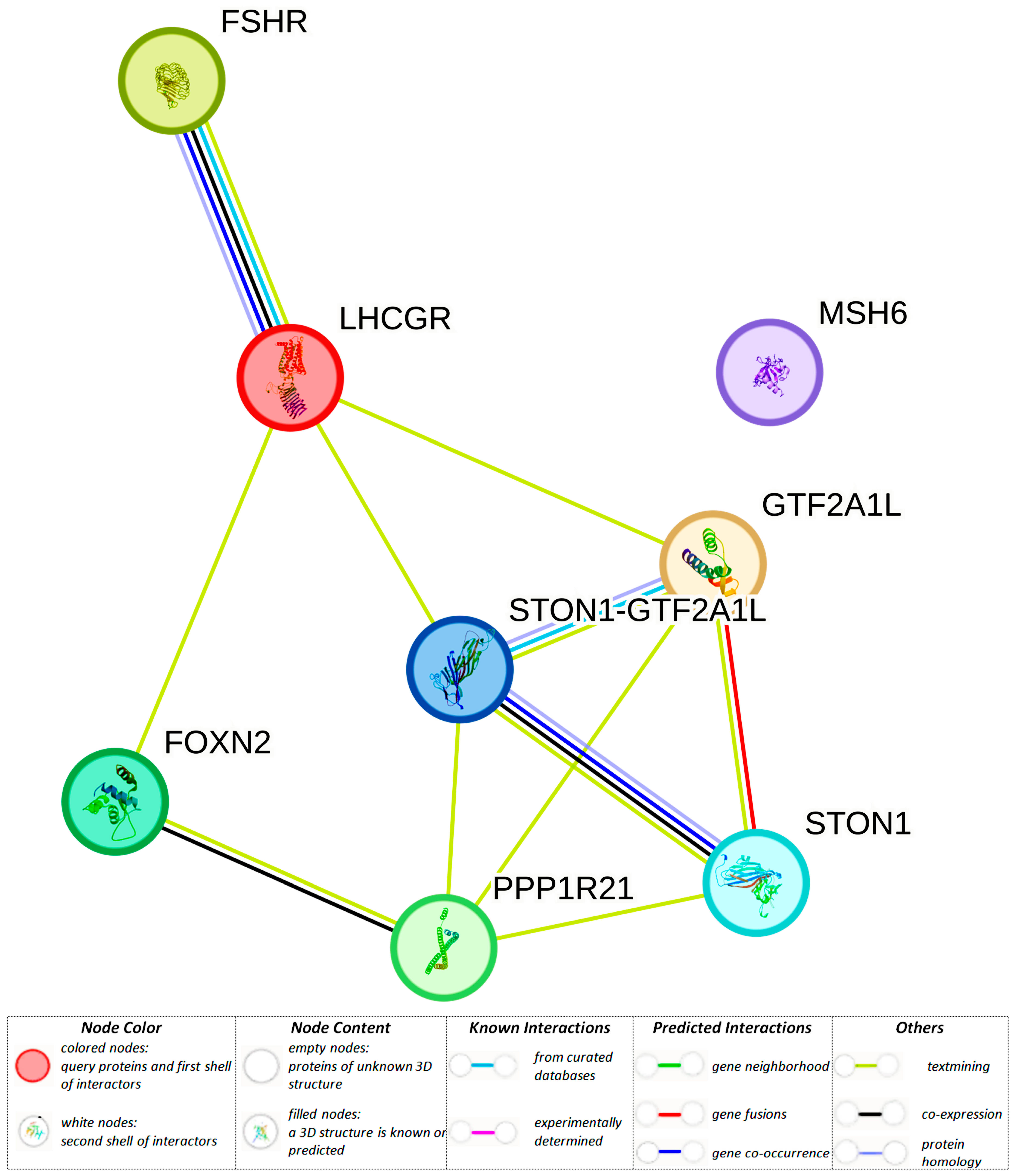 Biomedicines 12 00818 g002 Biomedicines 12 00818 g002