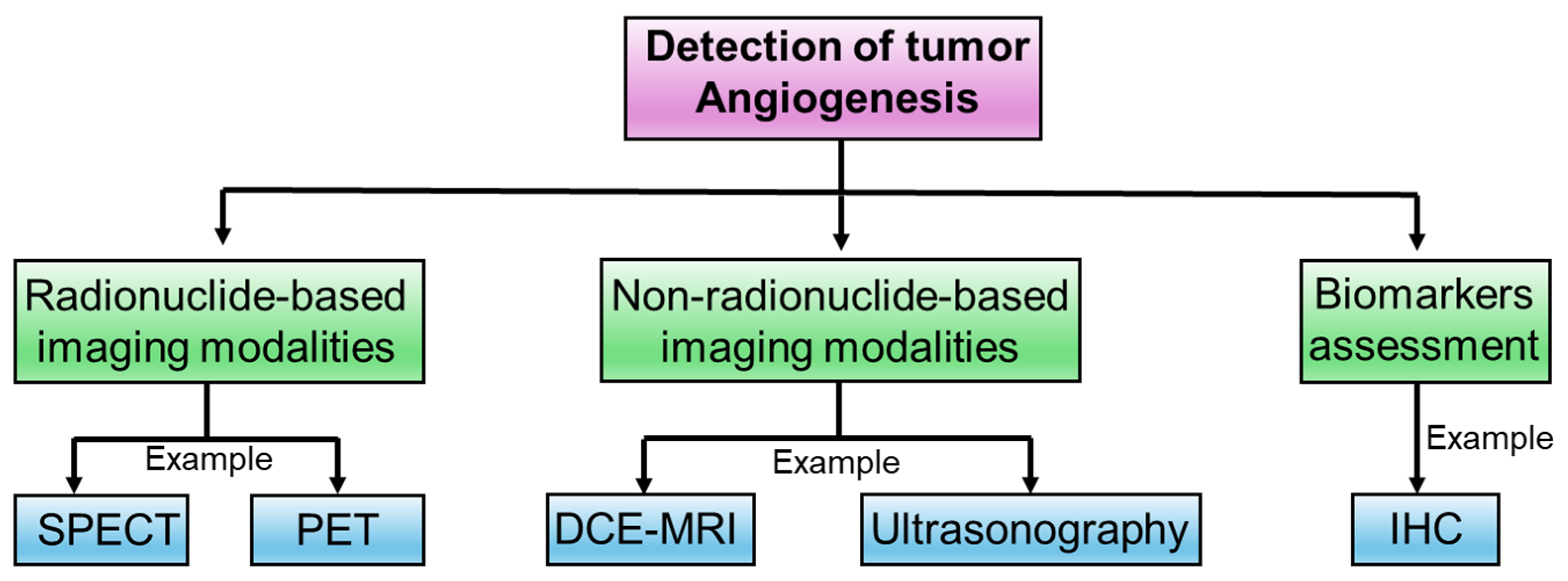 Biomedicines 12 00827 g004