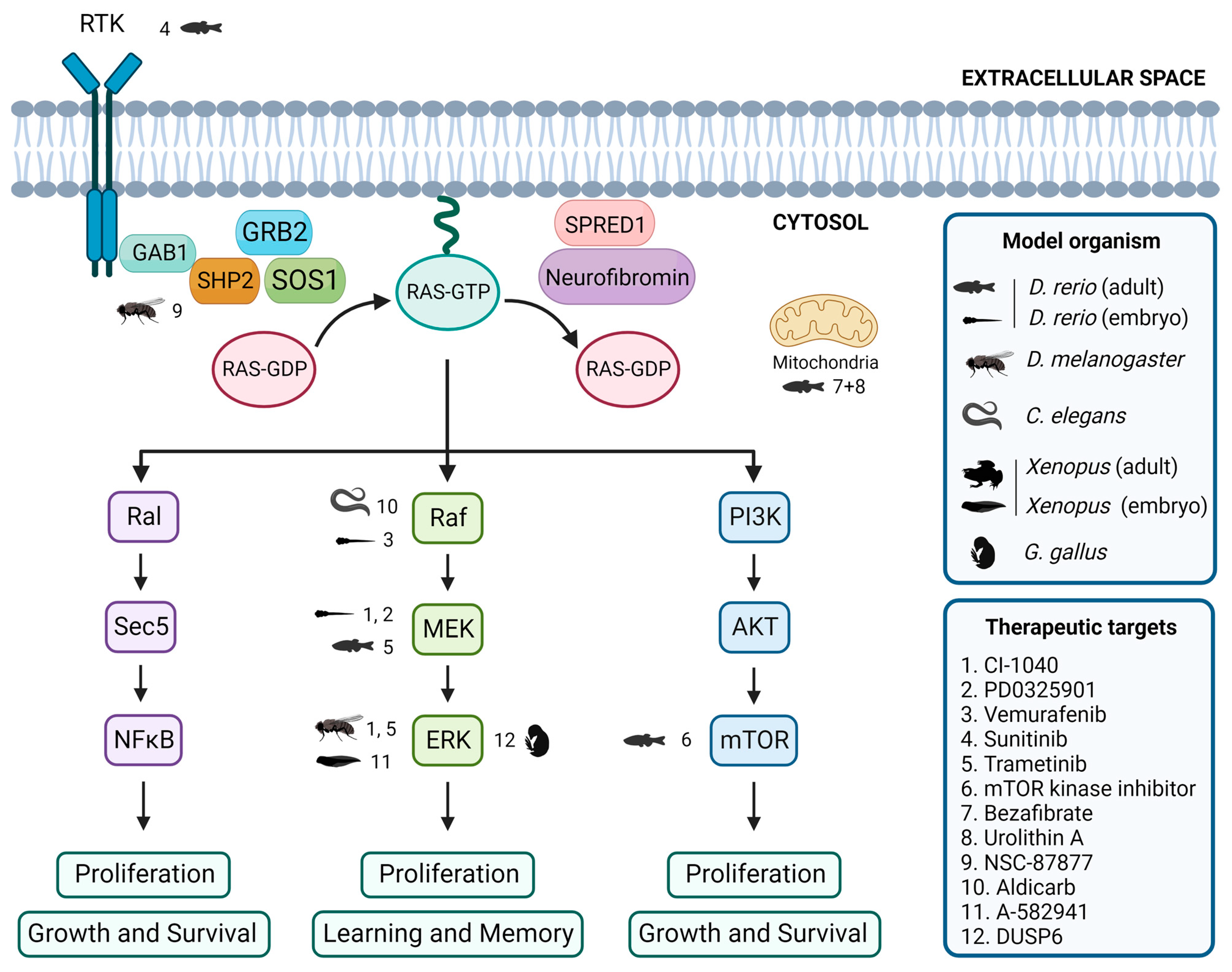 Biomedicines 12 00841 g002