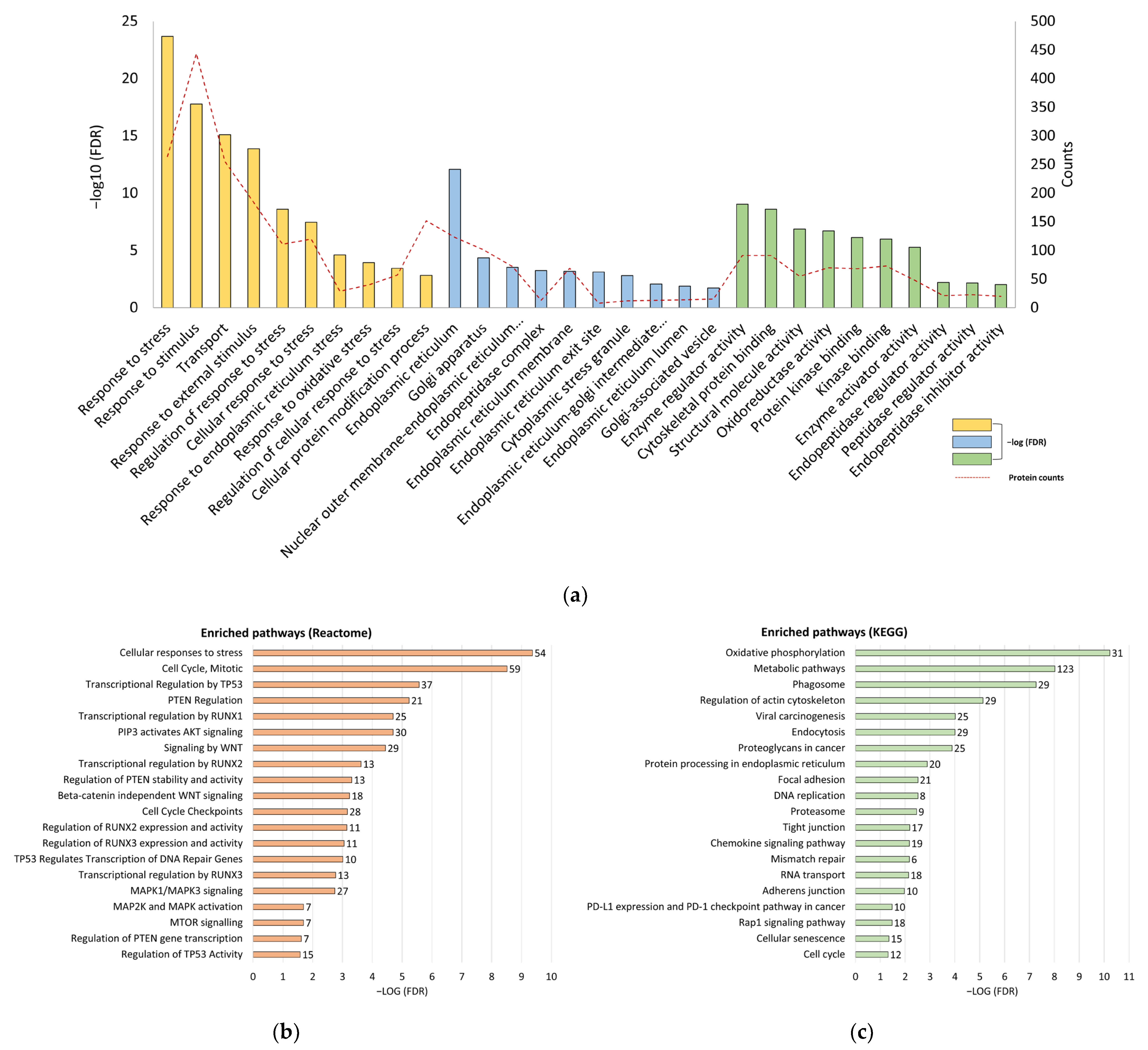 Biomedicines 12 00846 g002