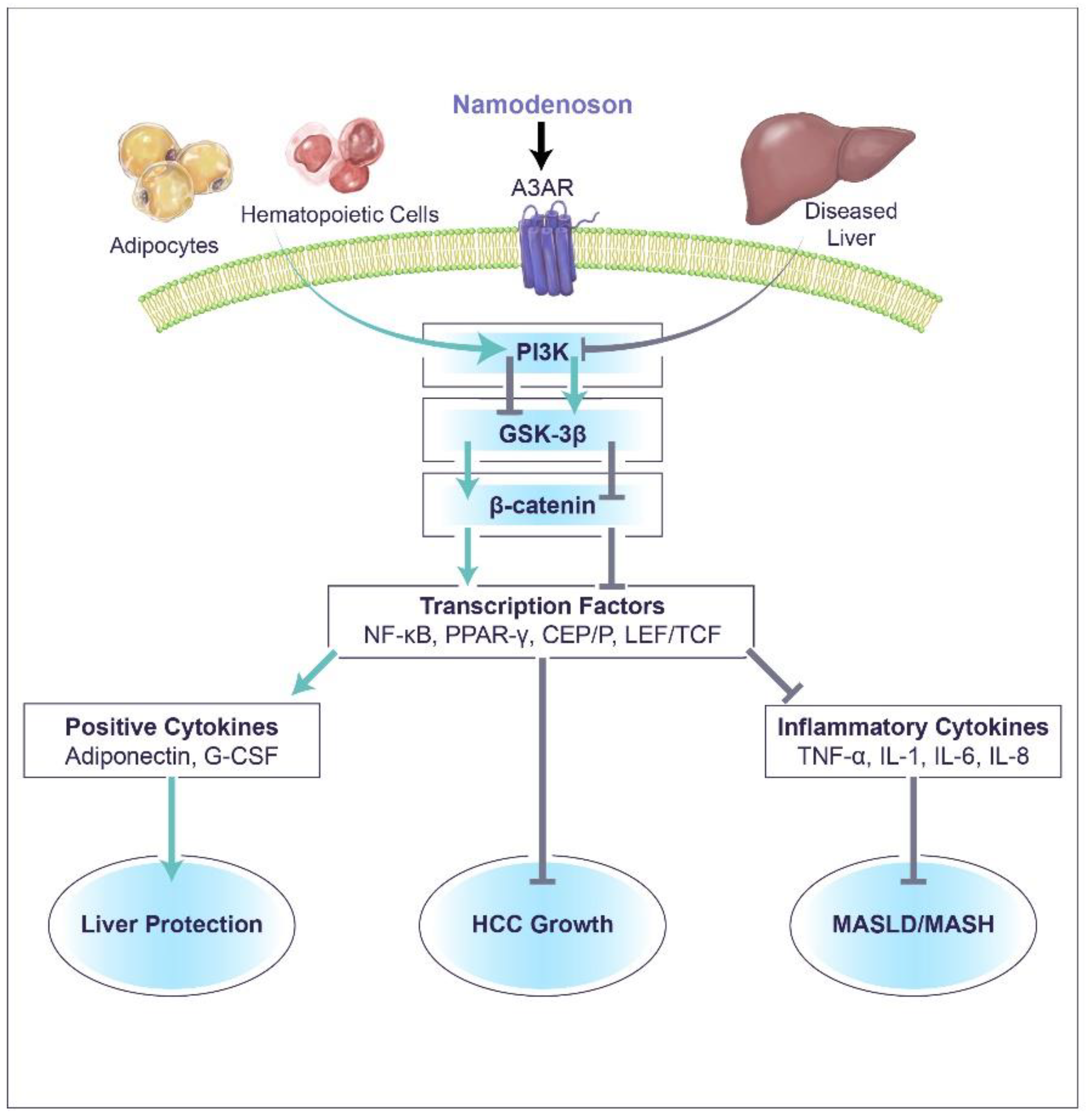Biomedicines 12 00848 g002