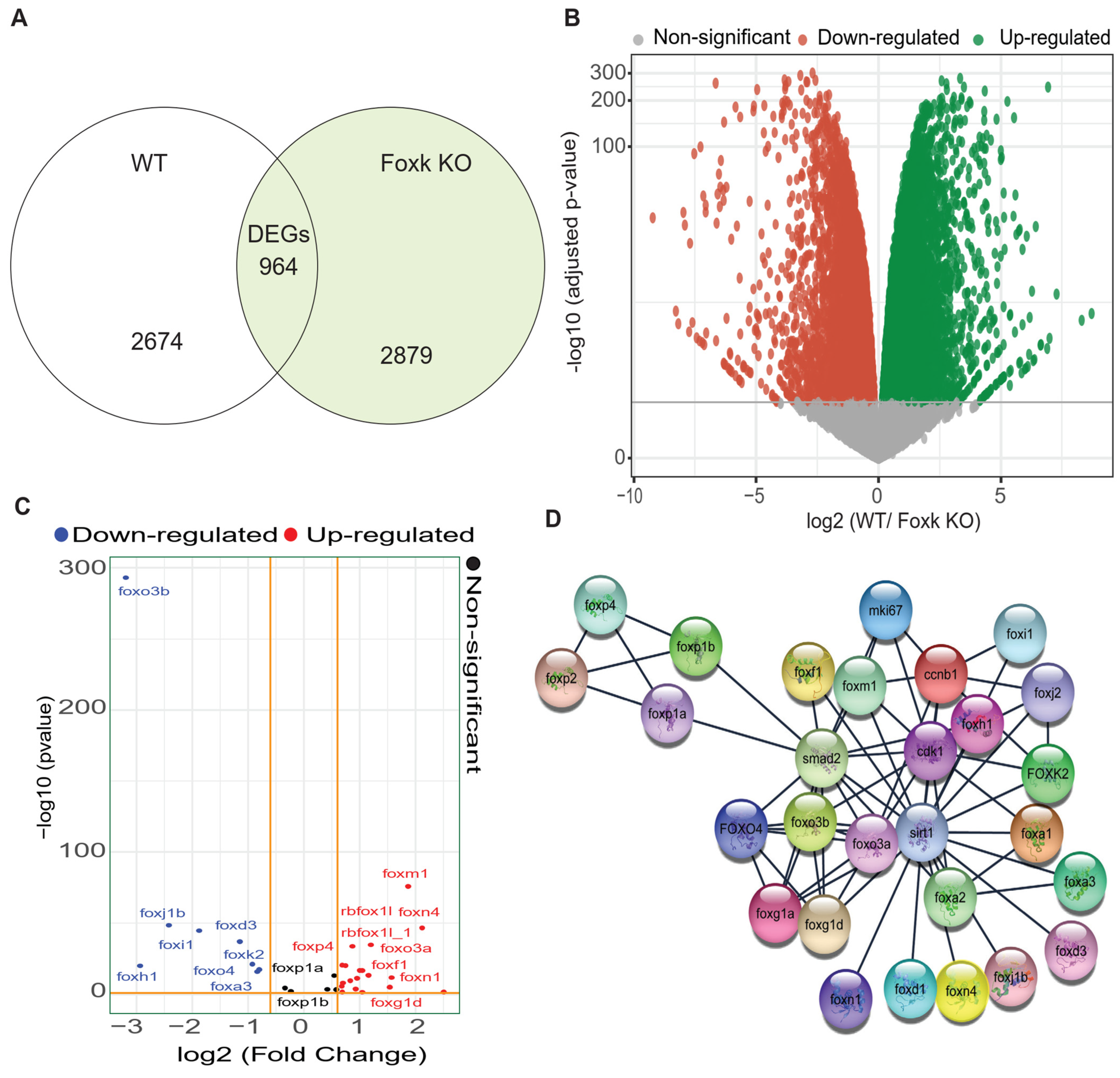 Biomedicines 12 00855 g003