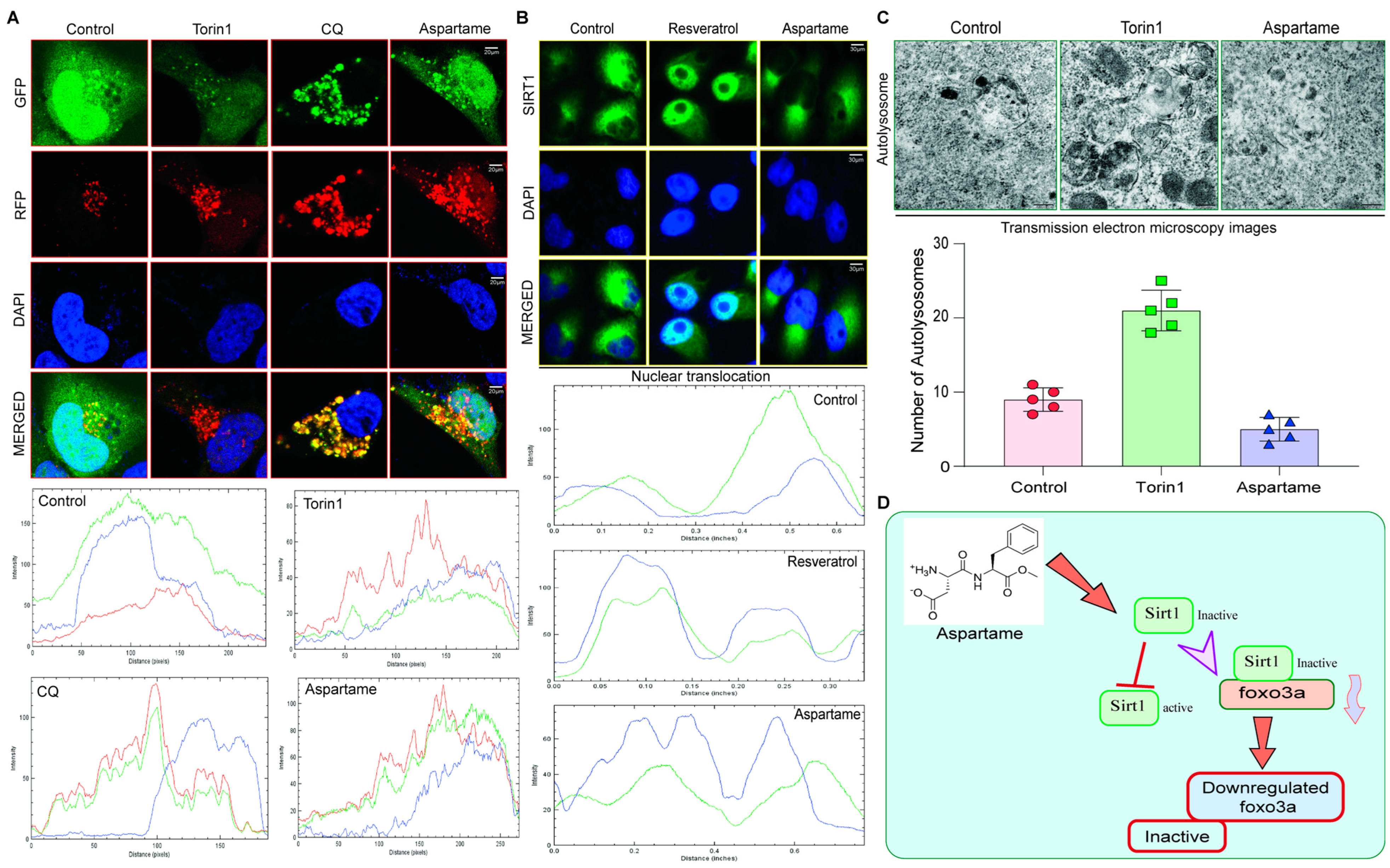 Biomedicines 12 00855 g005