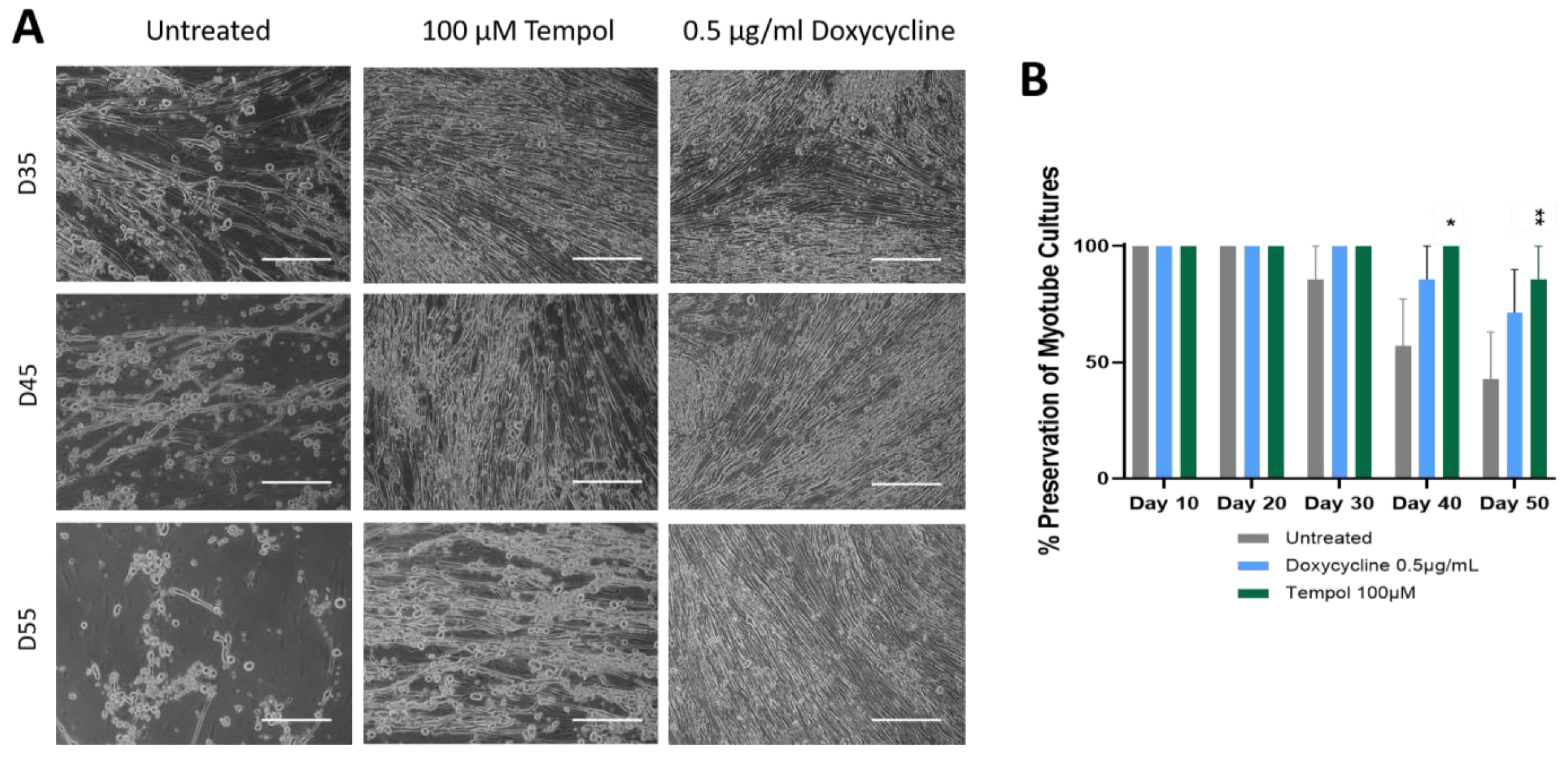 Biomedicines 12 00856 g002