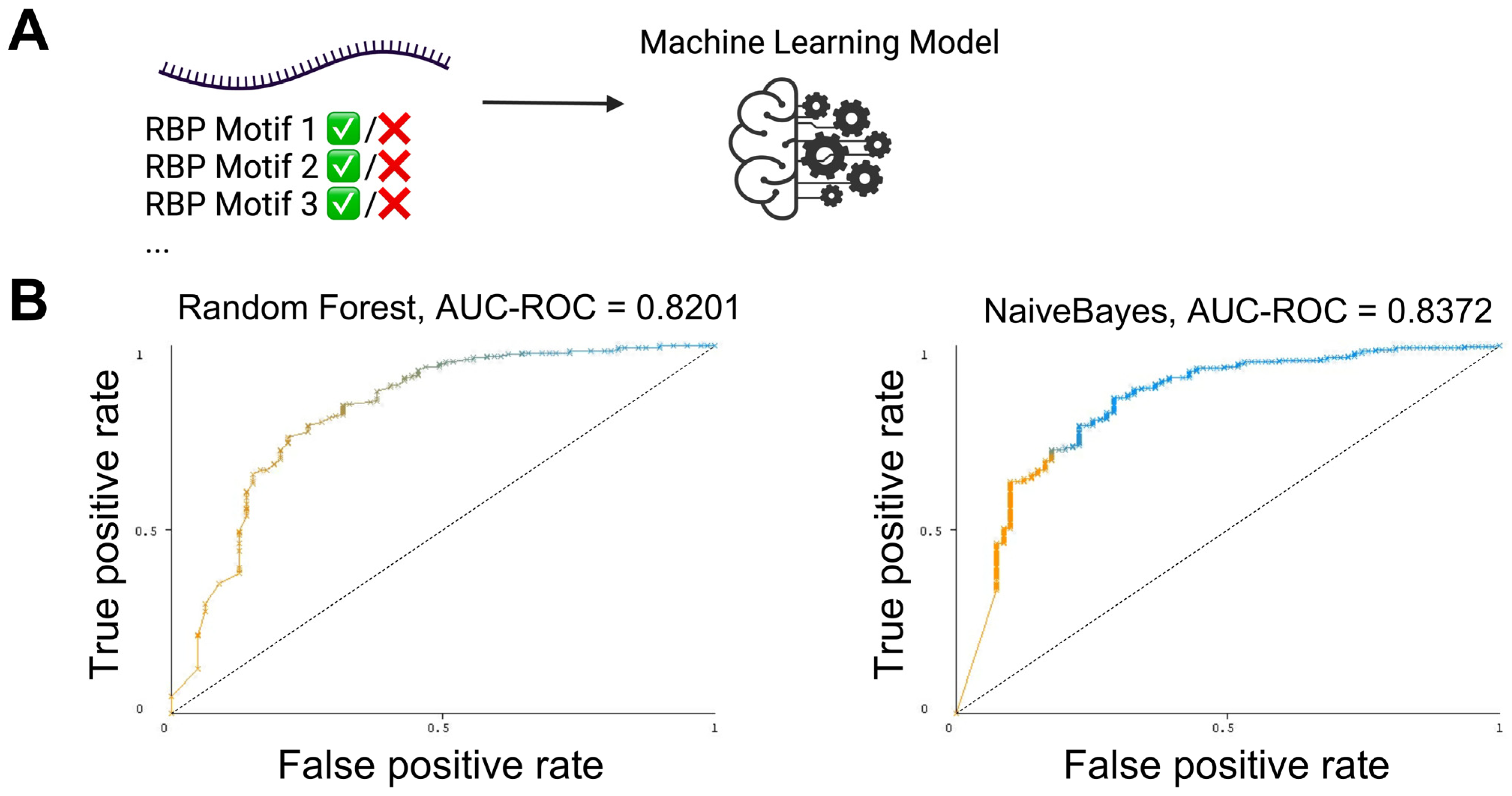 Biomedicines 12 00857 g003