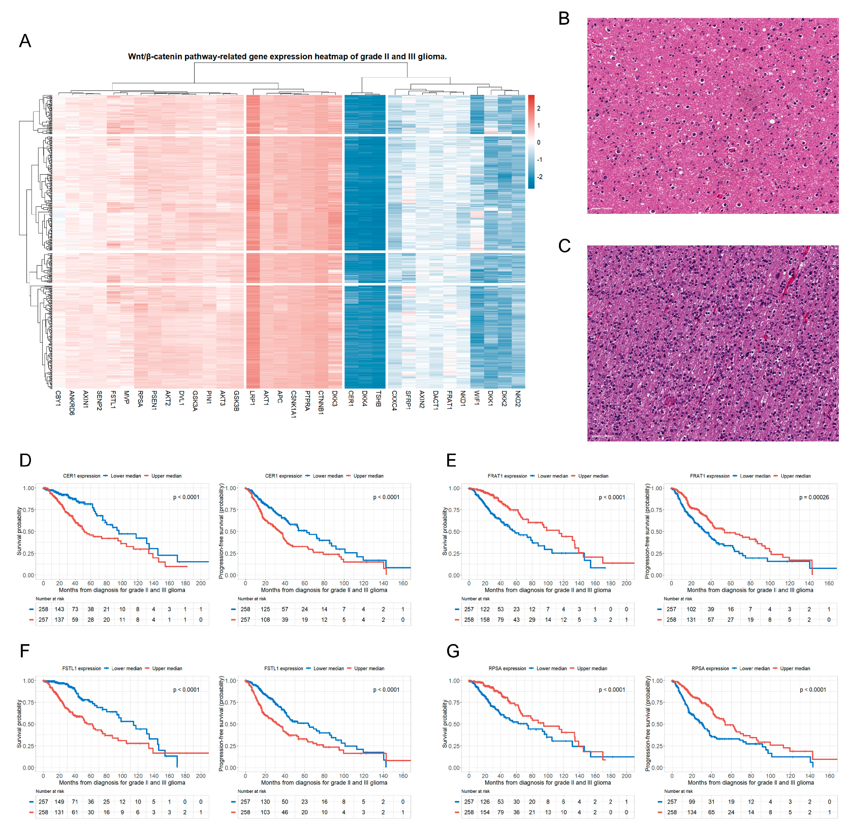 Biomedicines 12 00858 g001
