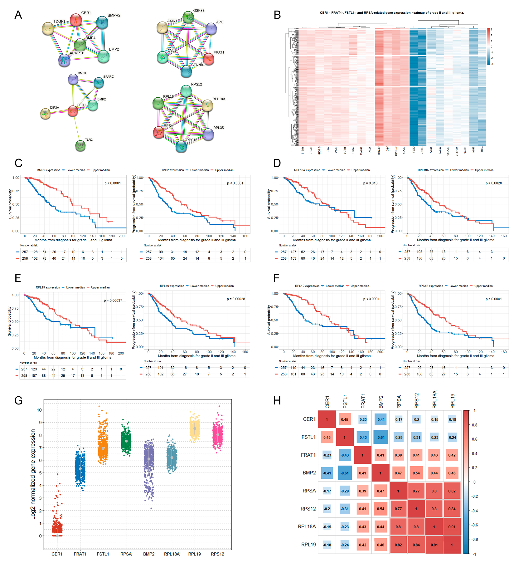 Biomedicines 12 00858 g002