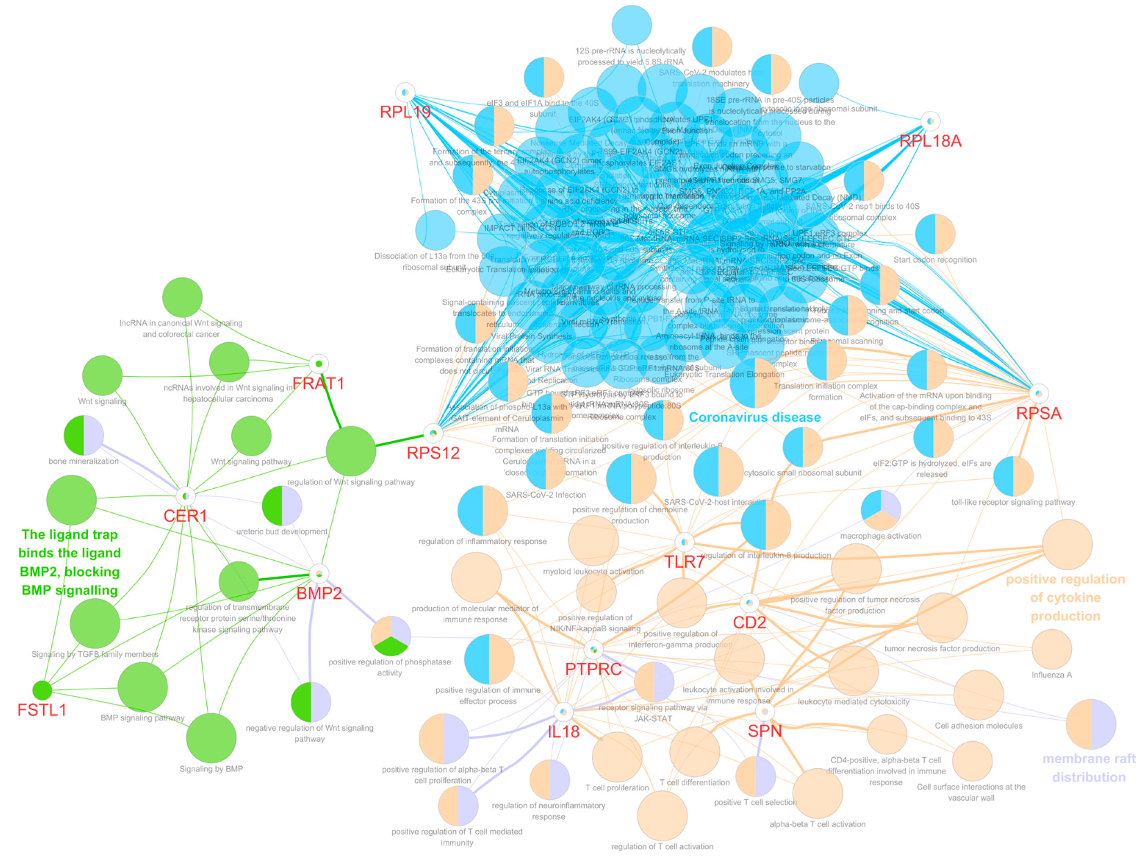 Biomedicines 12 00858 g004