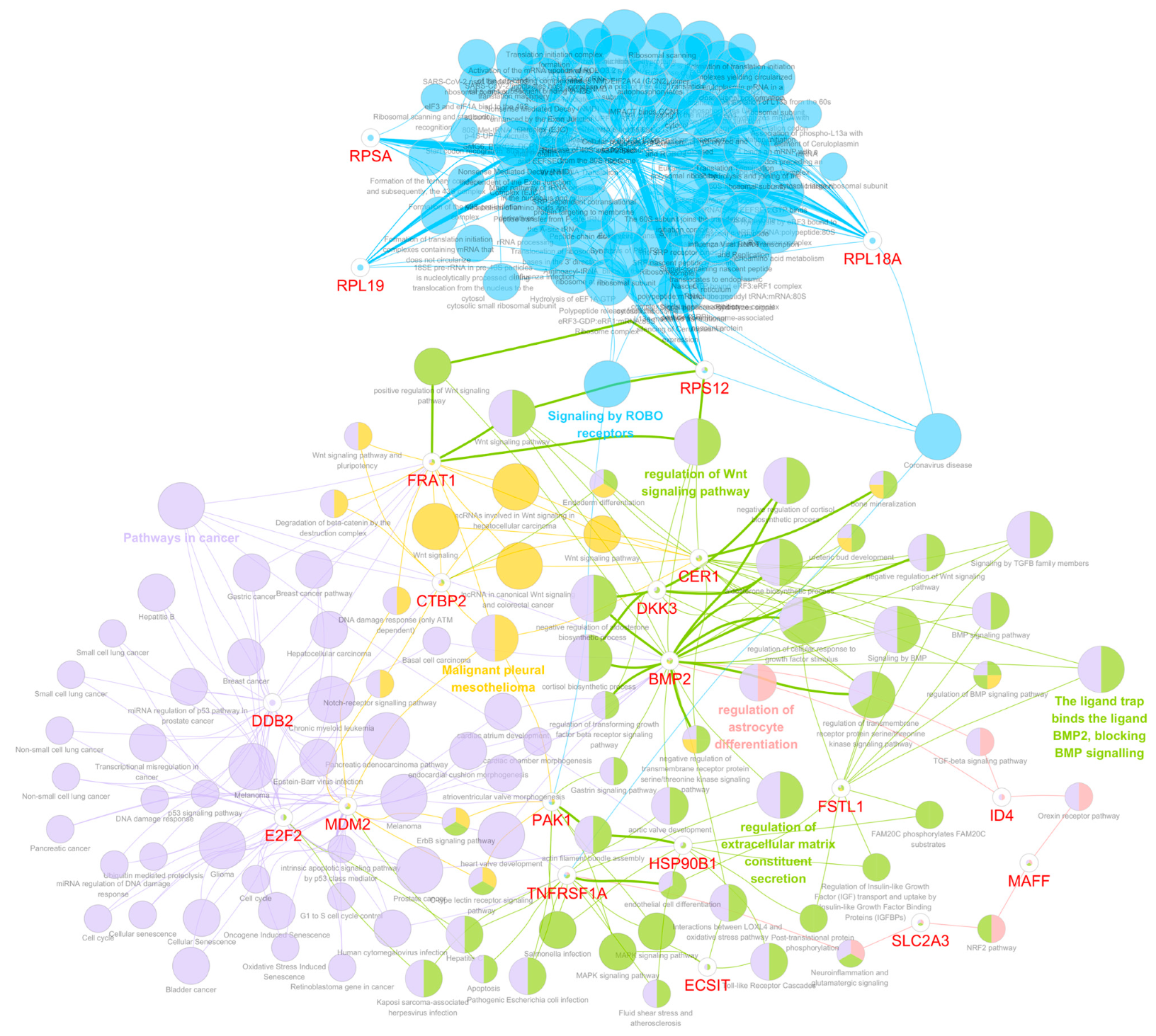 Biomedicines 12 00858 g005