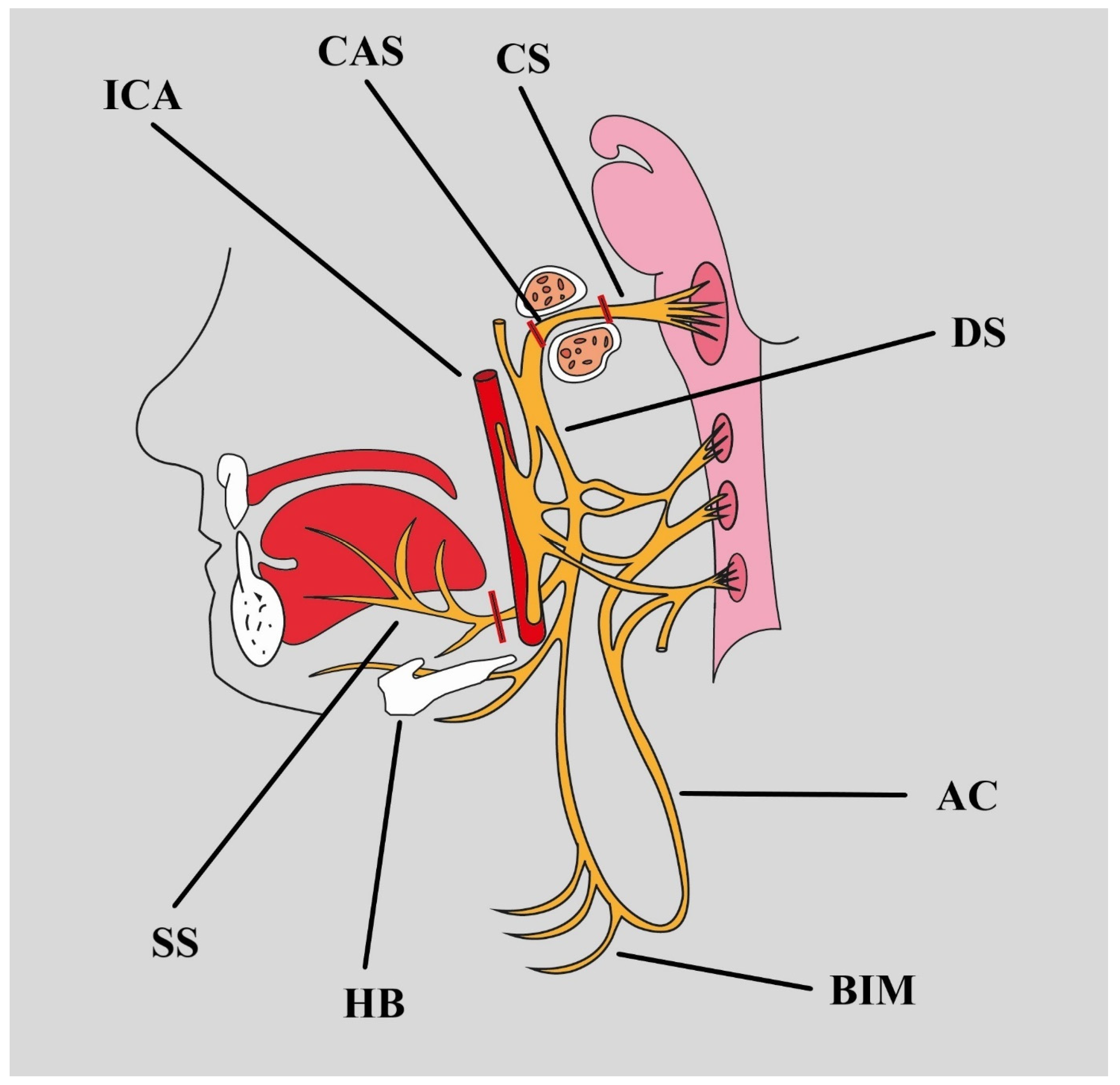 Biomedicines 12 00864 g002 Biomedicines 12 00864 g002