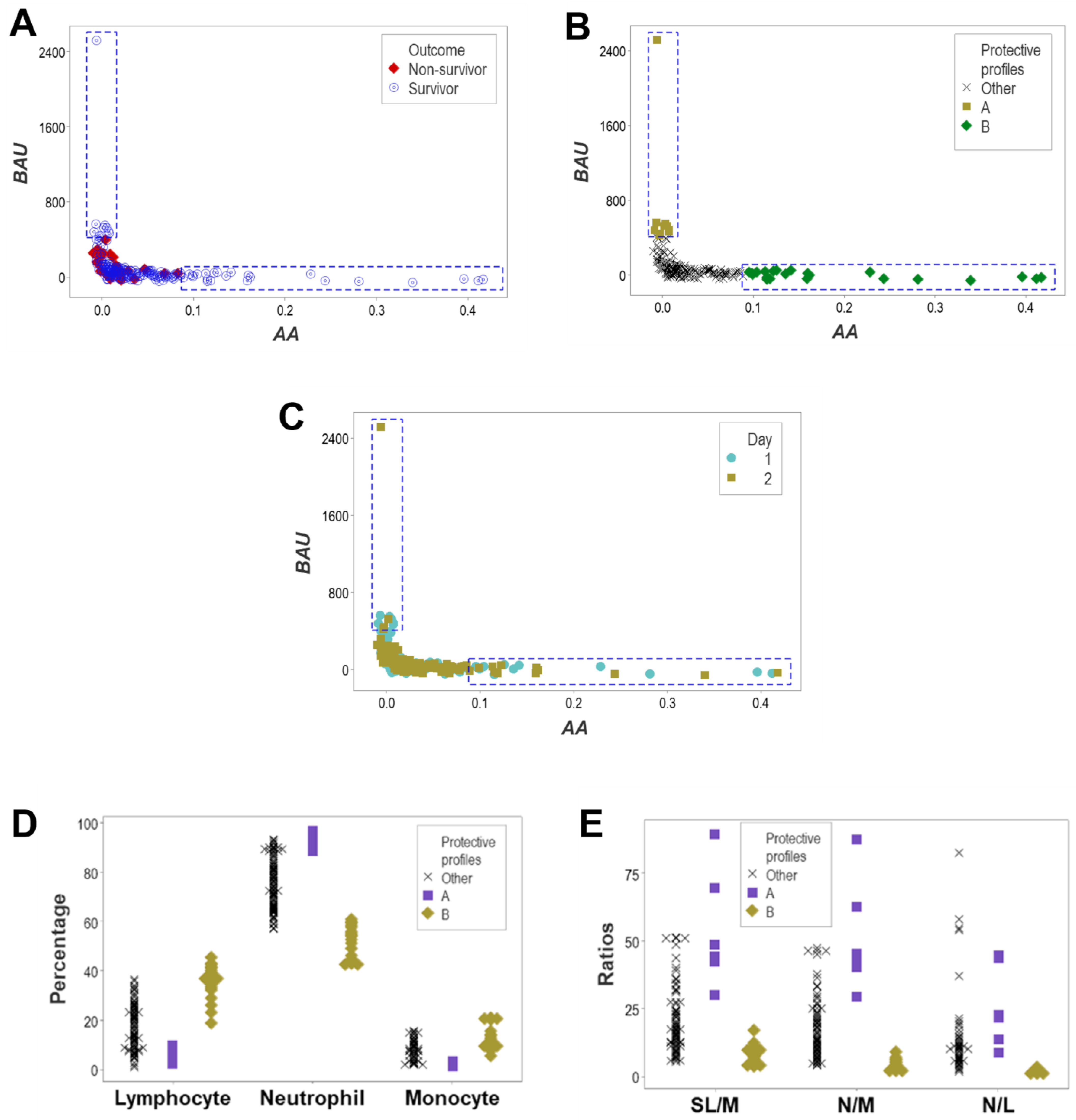 Biomedicines 12 00871 g010 Biomedicines 12 00871 g010