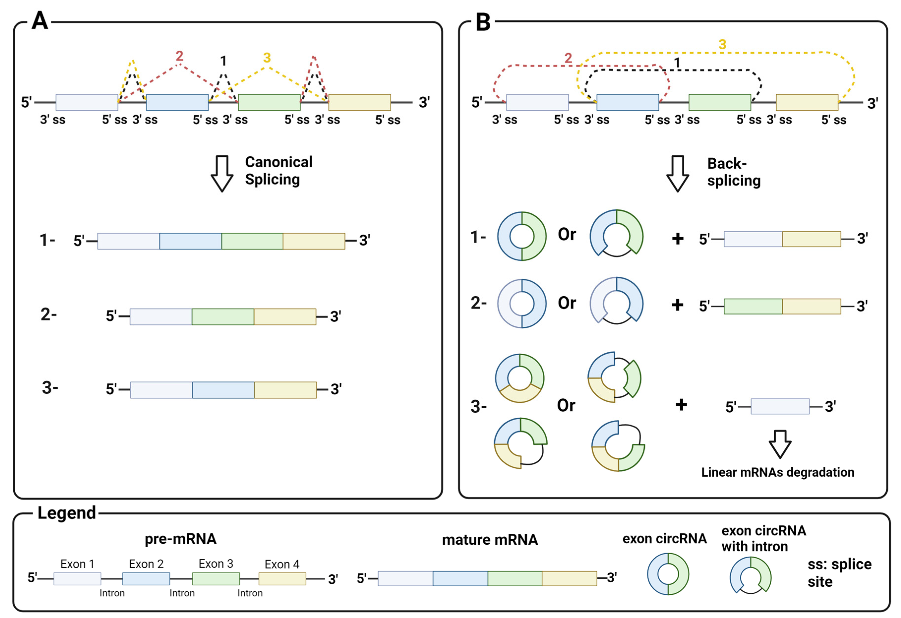 Biomedicines 12 00875 g001 Biomedicines 12 00875 g001