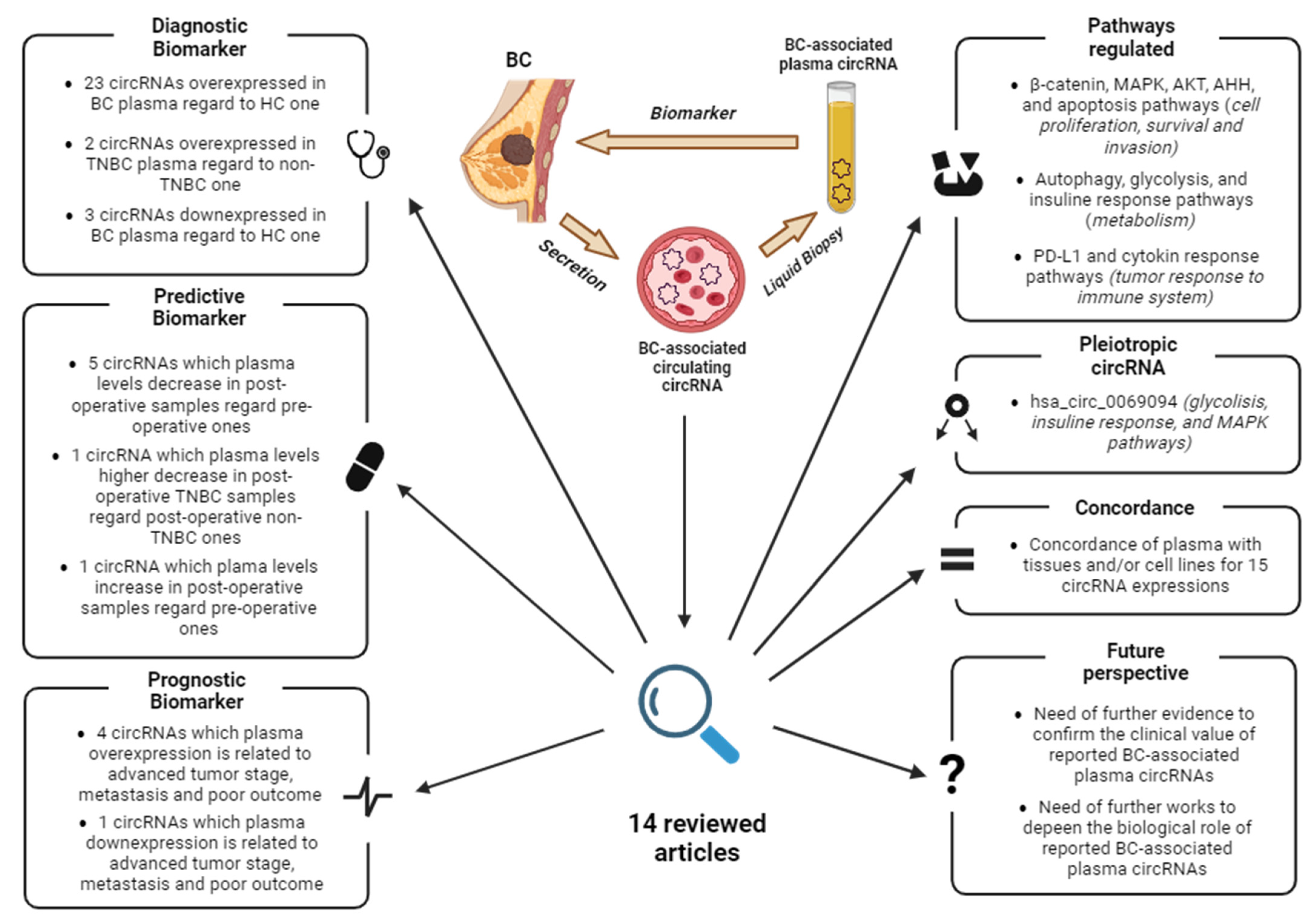 Biomedicines 12 00875 g004 Biomedicines 12 00875 g004