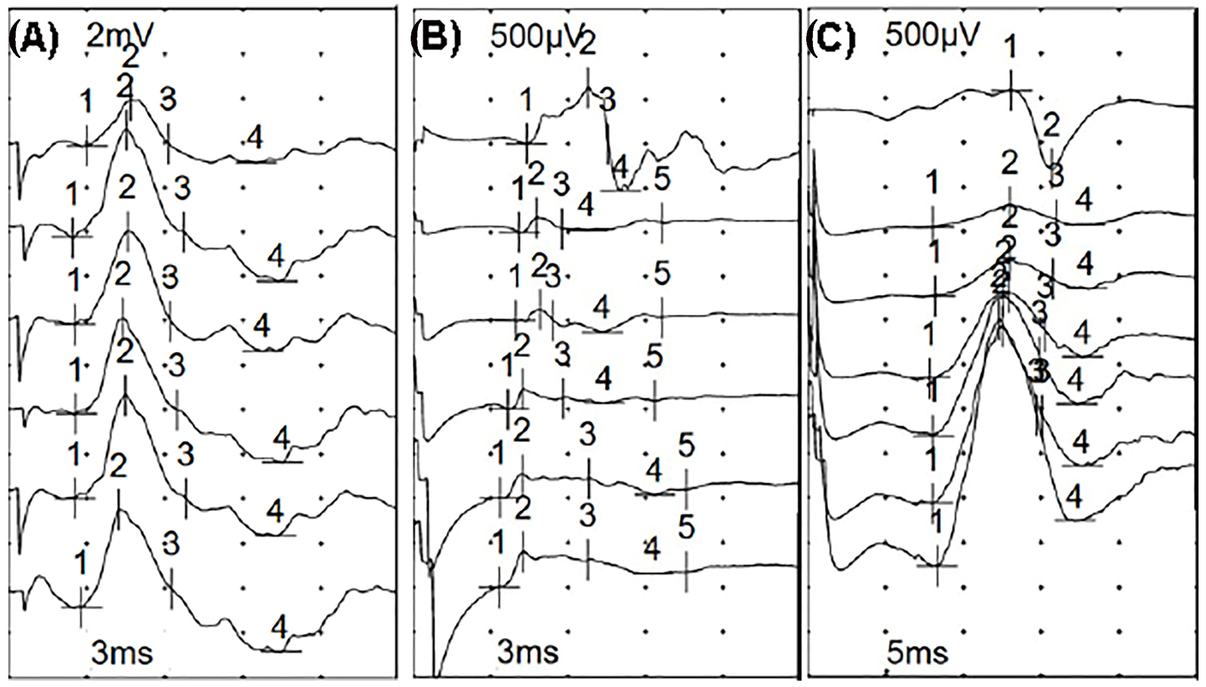 Biomedicines 12 00878 g002