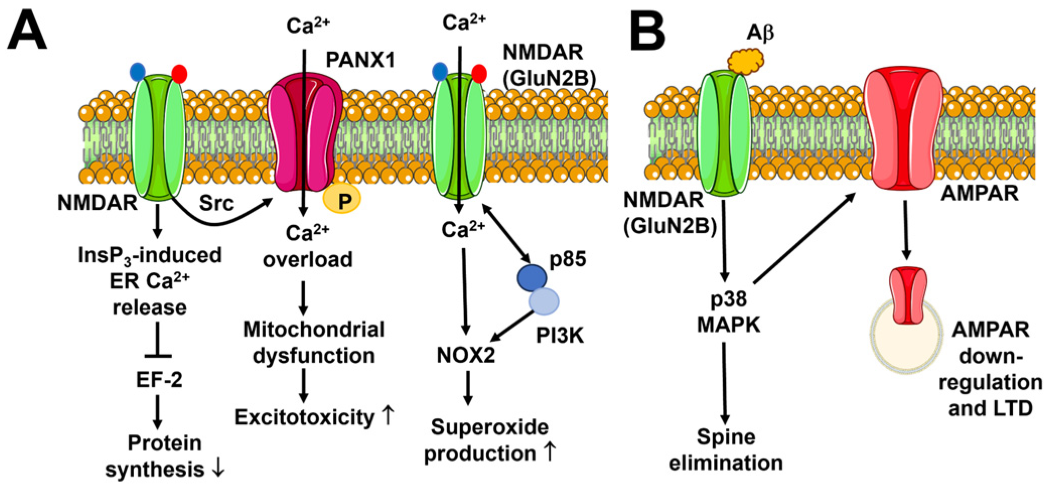 Biomedicines 12 00880 g005