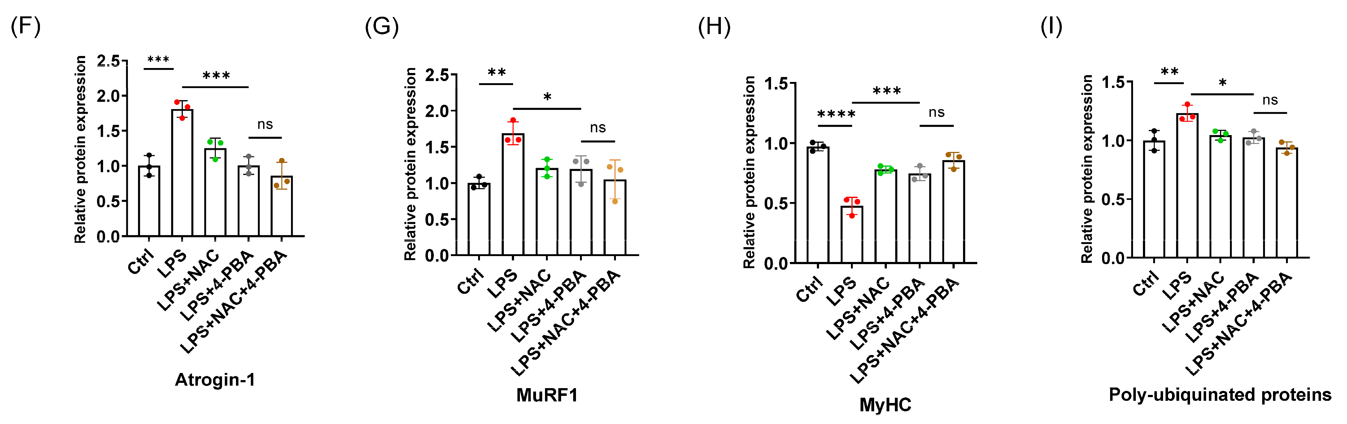 Biomedicines 12 00902 g004b Biomedicines 12 00902 g004b