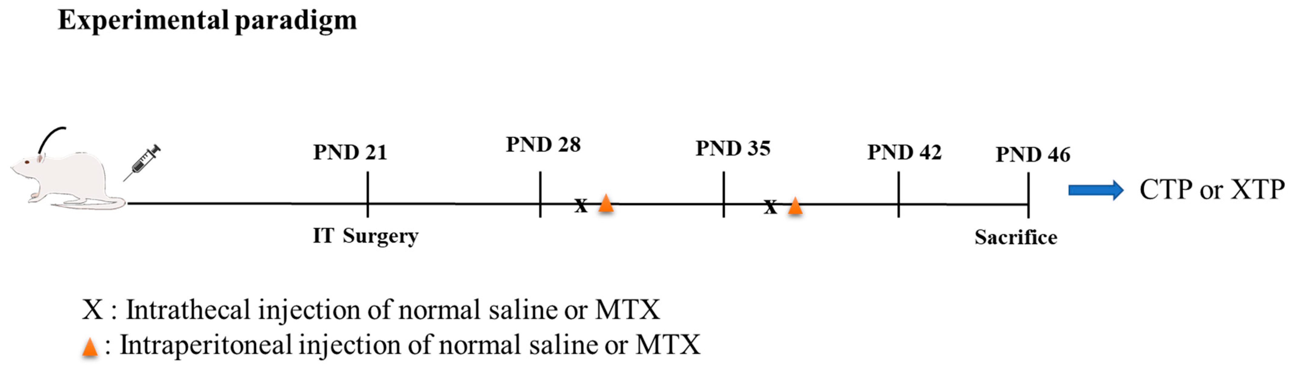 Biomedicines 12 00908 g001